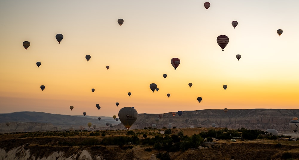 a group of hot air balloons in the sky