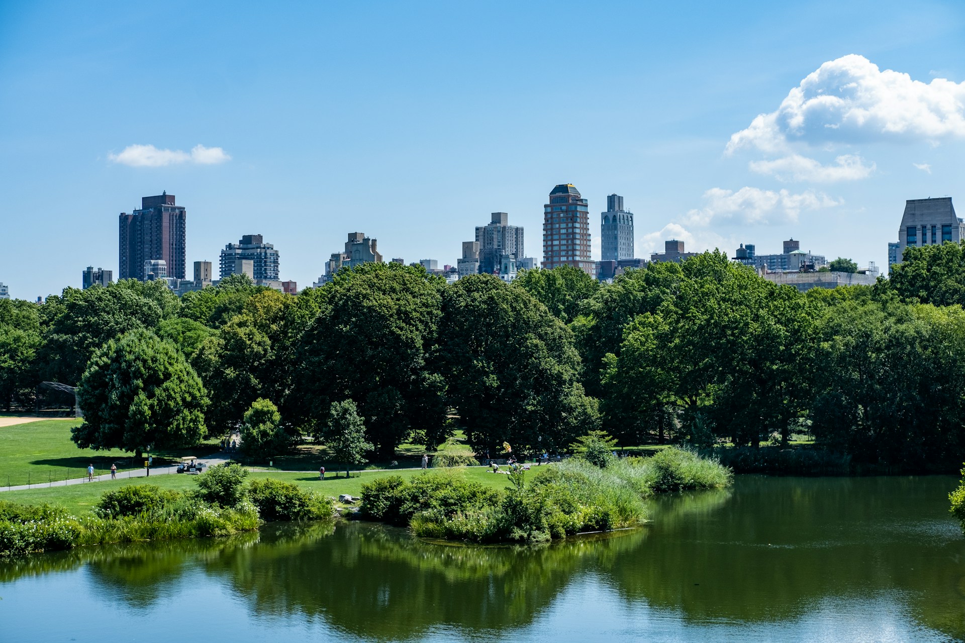 a park with trees and a body of water with a city in the background