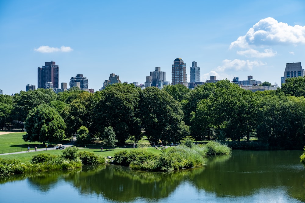 a park with trees and a body of water with a city in the background