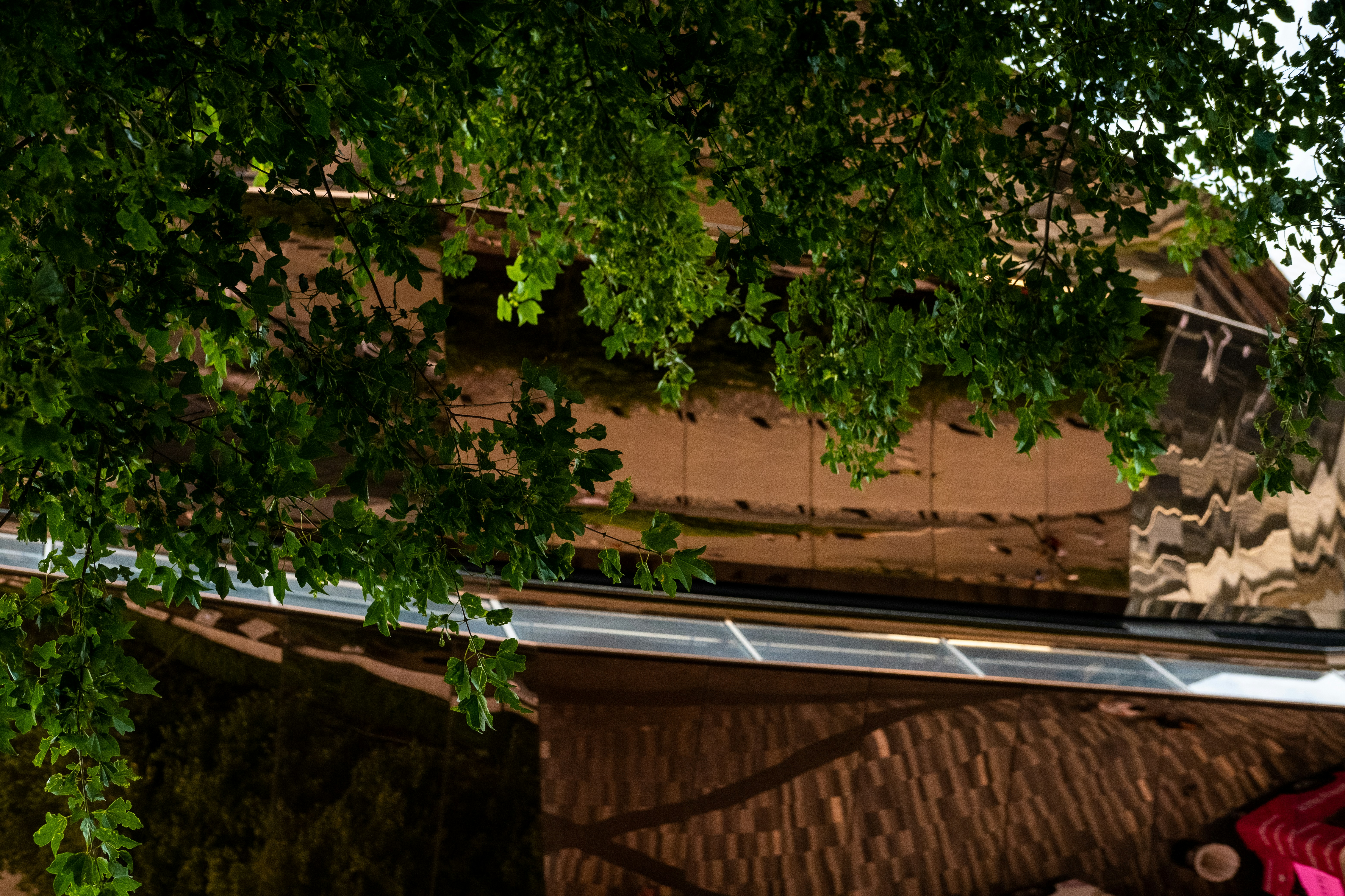 Photo by dana_andreea