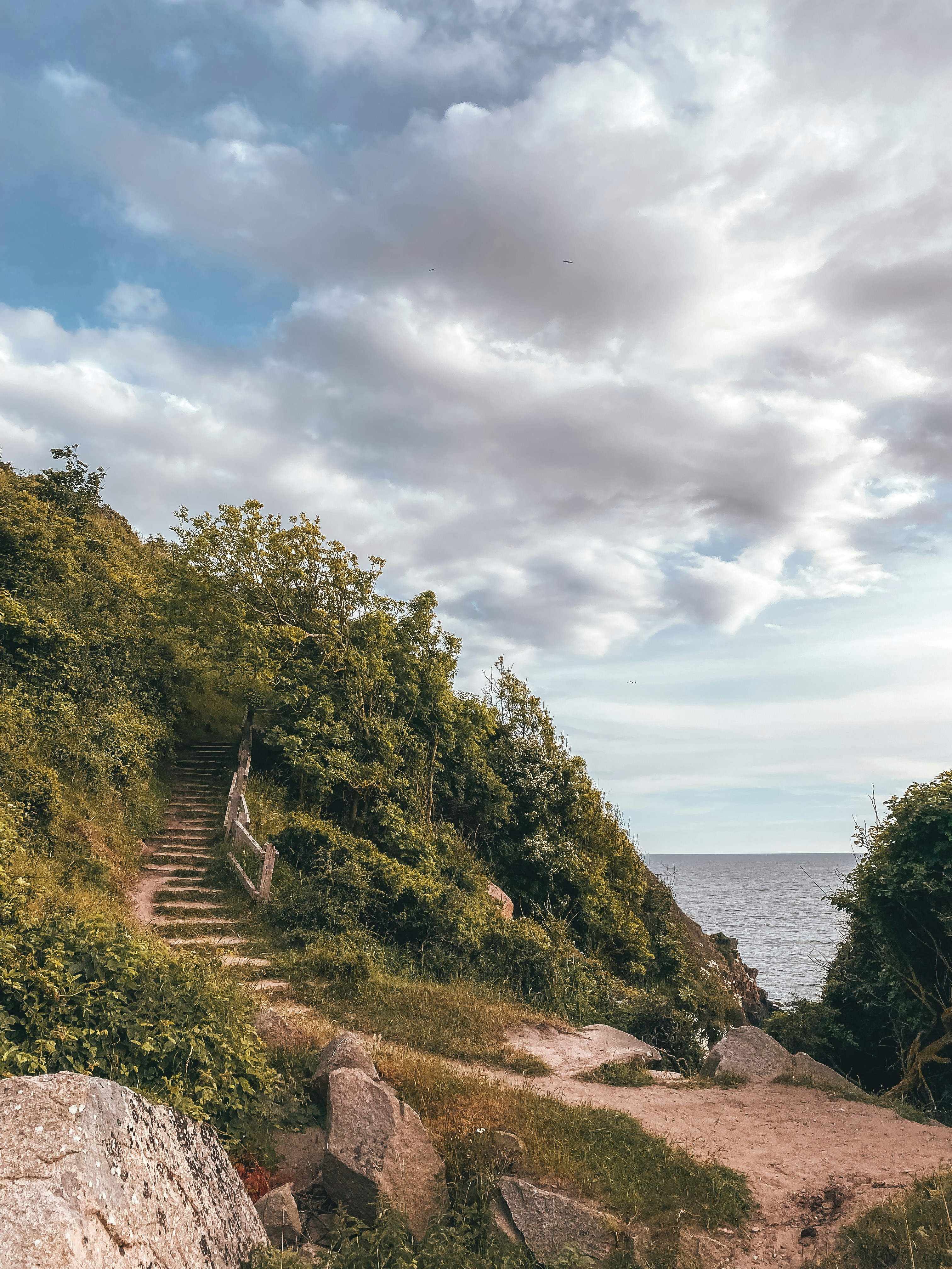 a path leading to a beach