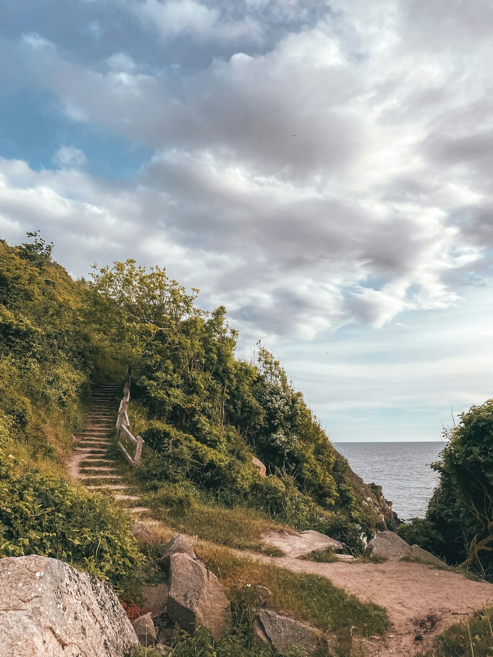 a path leading to a beach