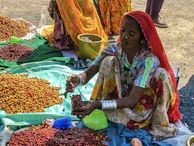 Women members of a farmer producer organization sorting mahua flowers under a tree.