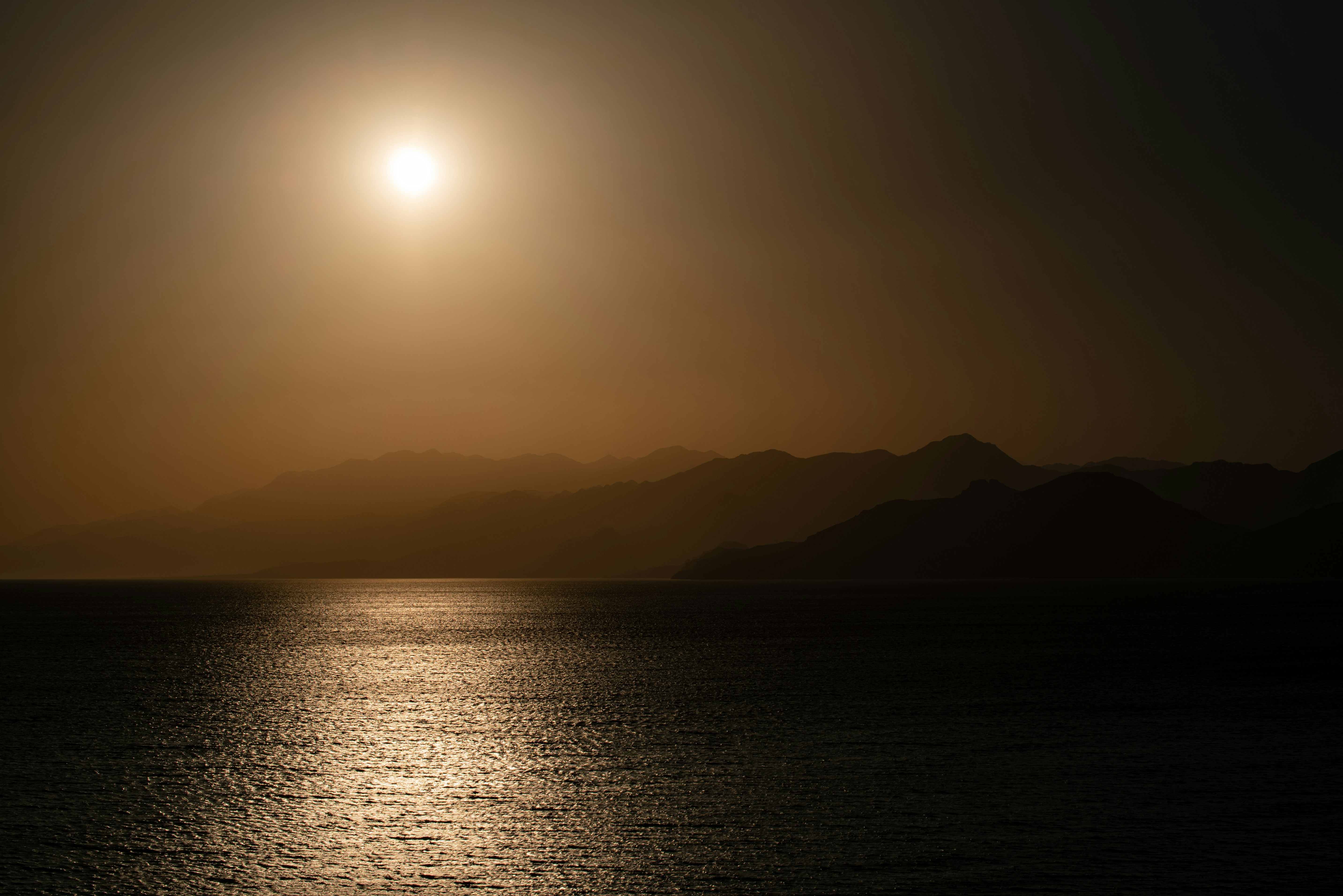 Photo by evgenit