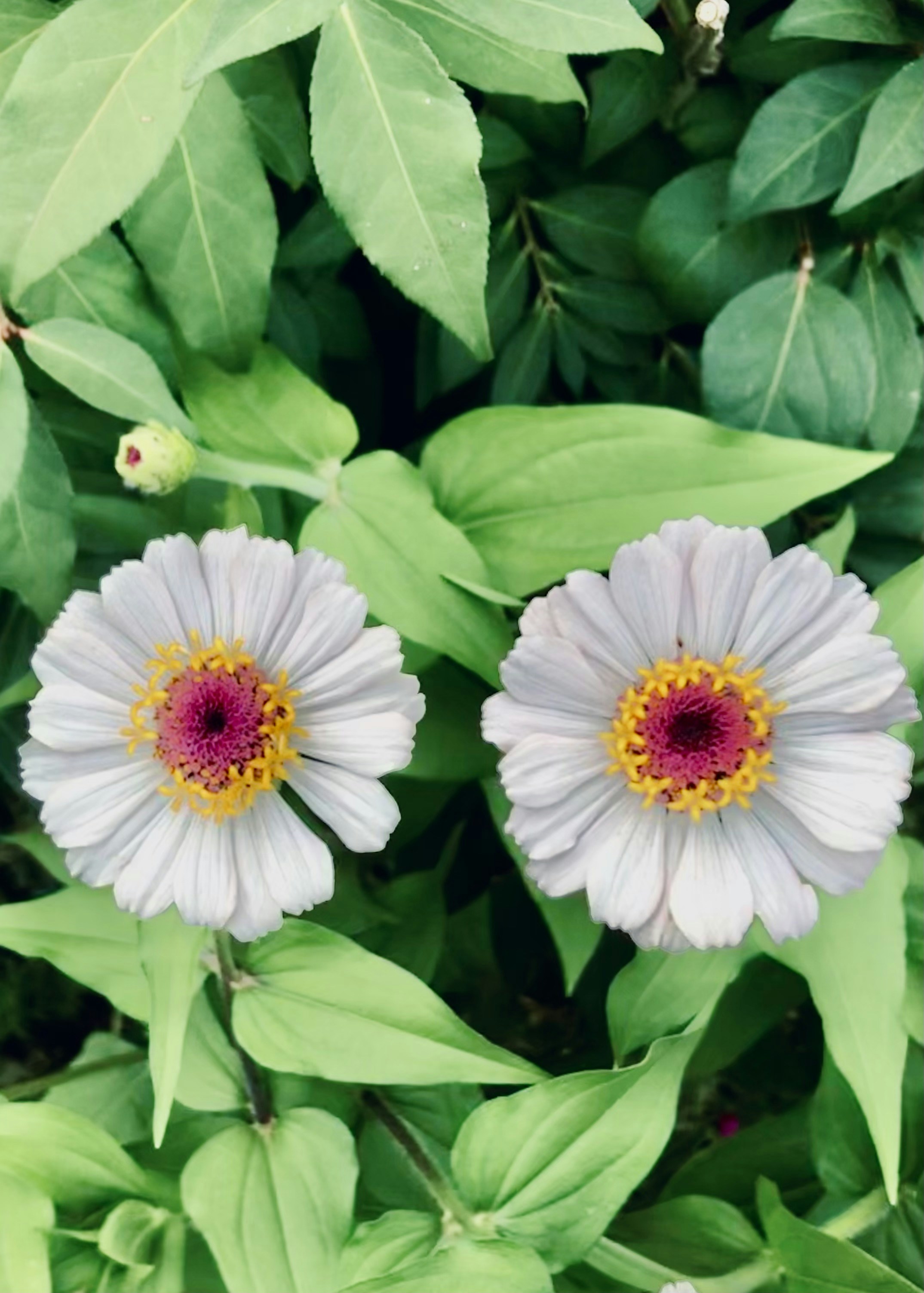 Photo by anapaparazzi