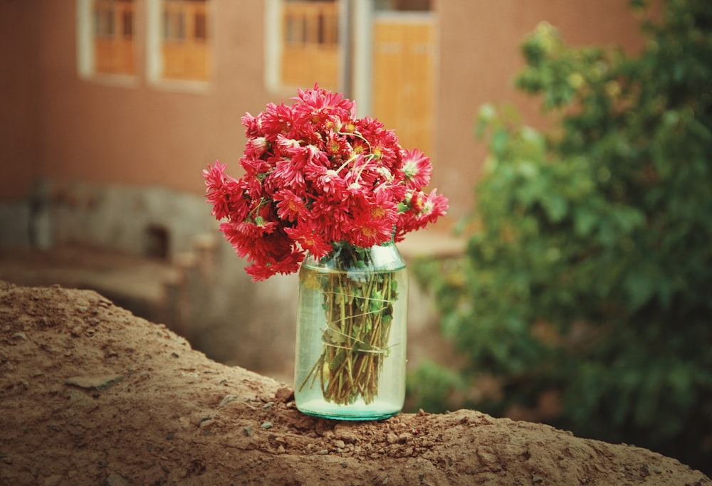 um vaso com flores