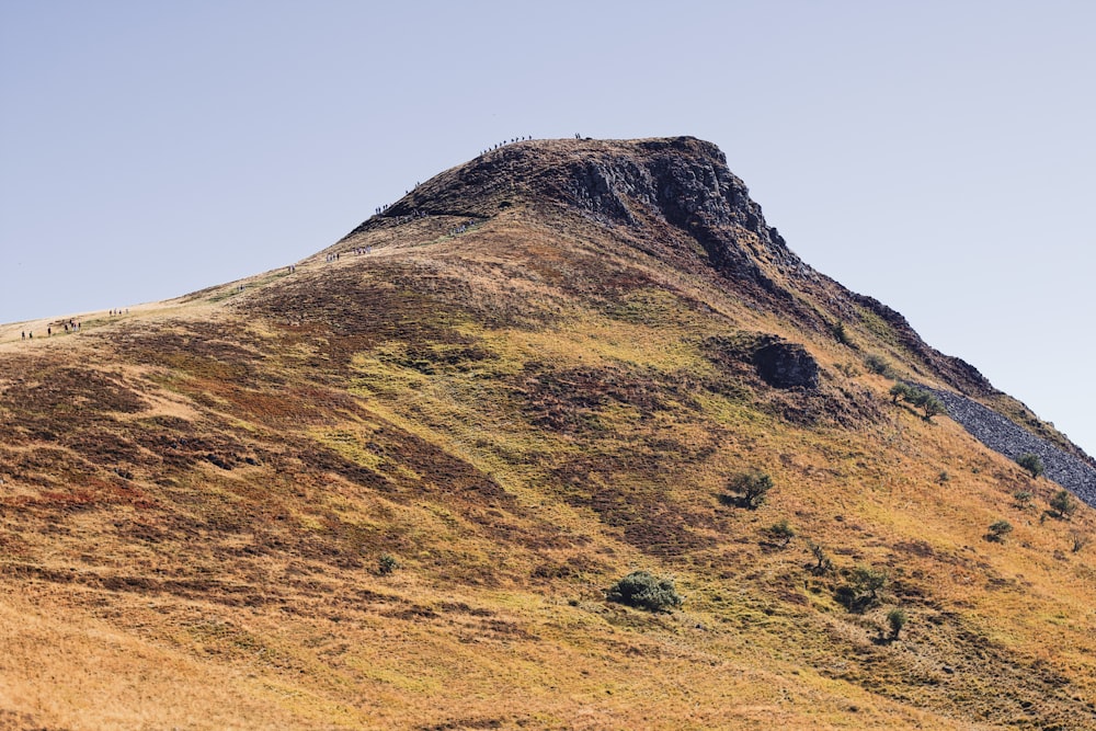 a hill with a grassy area on it