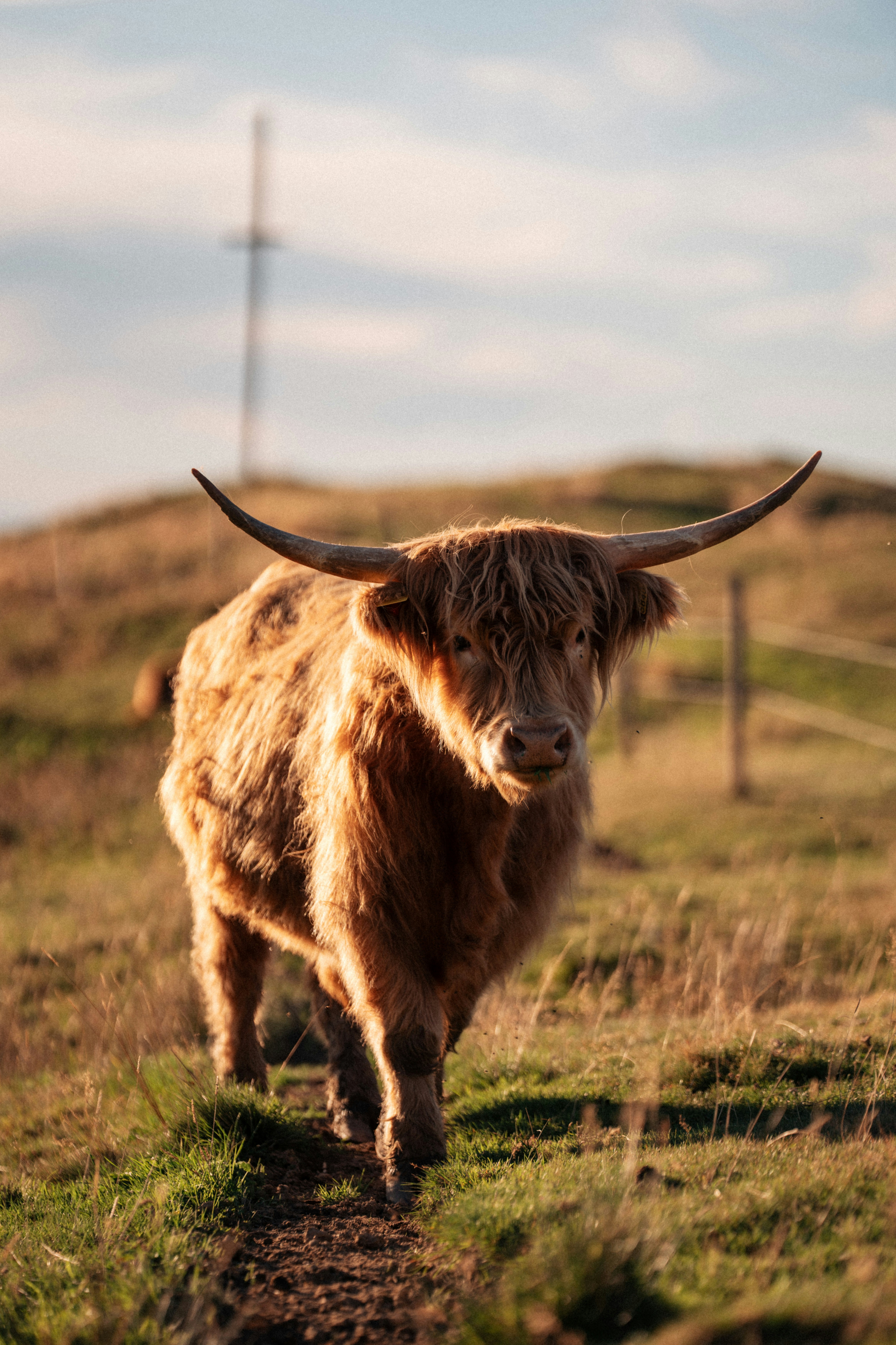 Photo by fabianbetto