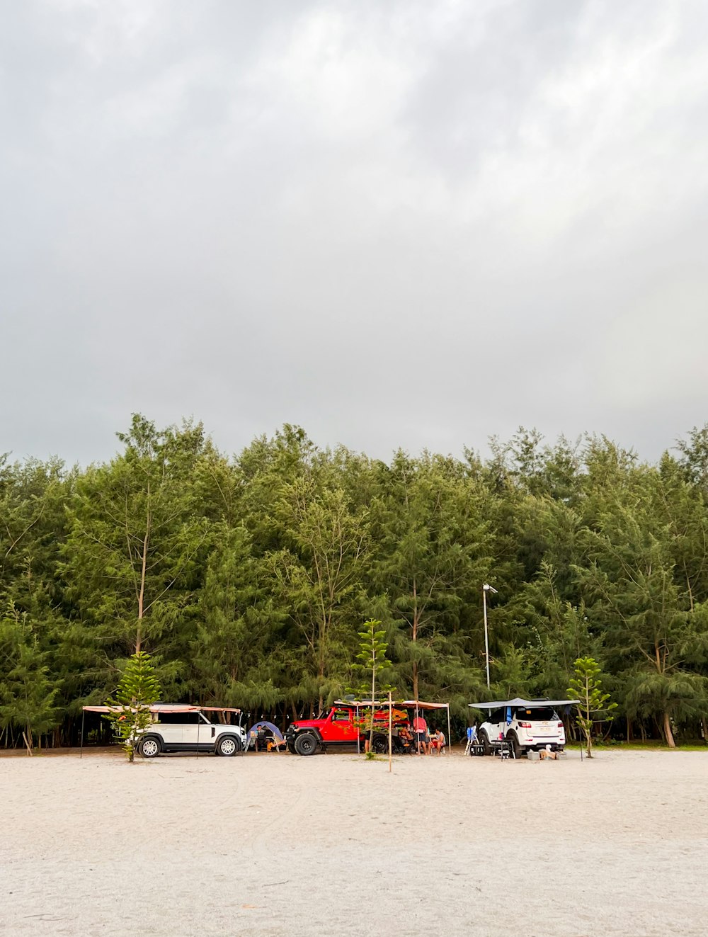 a group of vehicles parked next to some trees