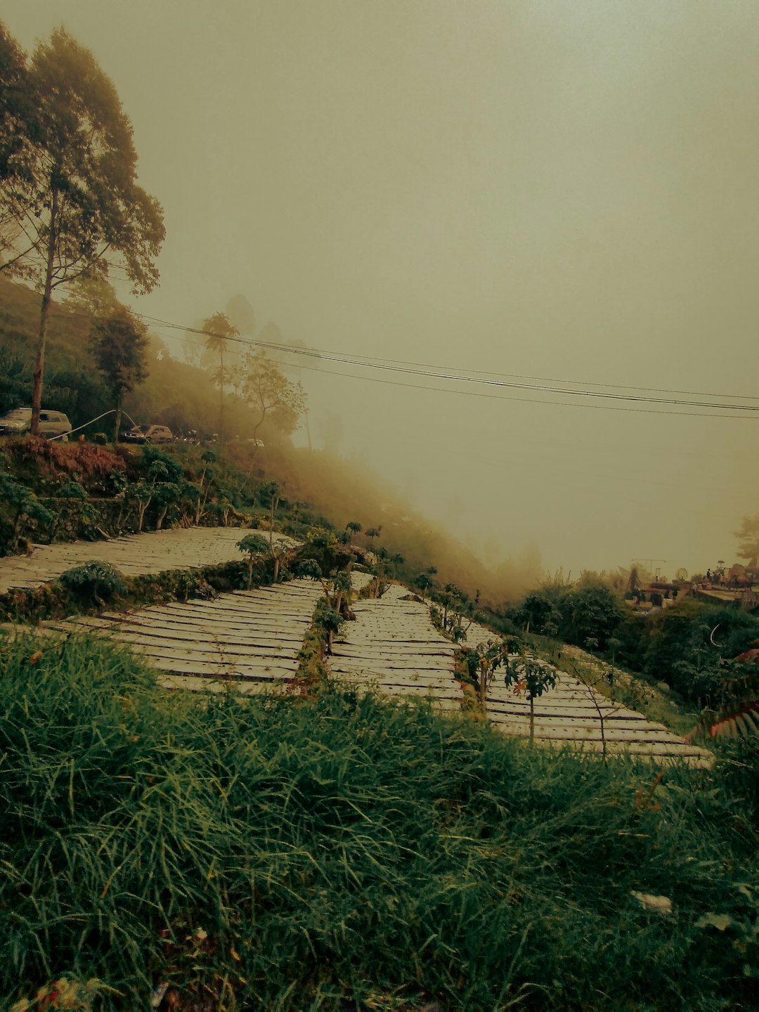 Ecoregion photo spot Dieng Yogyakarta City