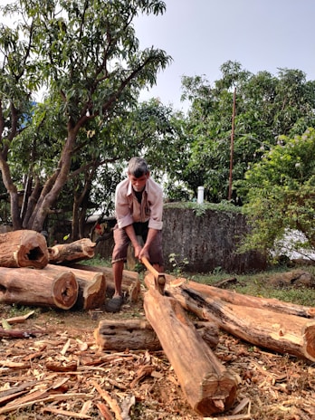 A person chopping wood outdoors surrounded by cut logs and wooden shavings. Lush green trees and a rustic stone wall are in the background, indicating a natural, rural setting.