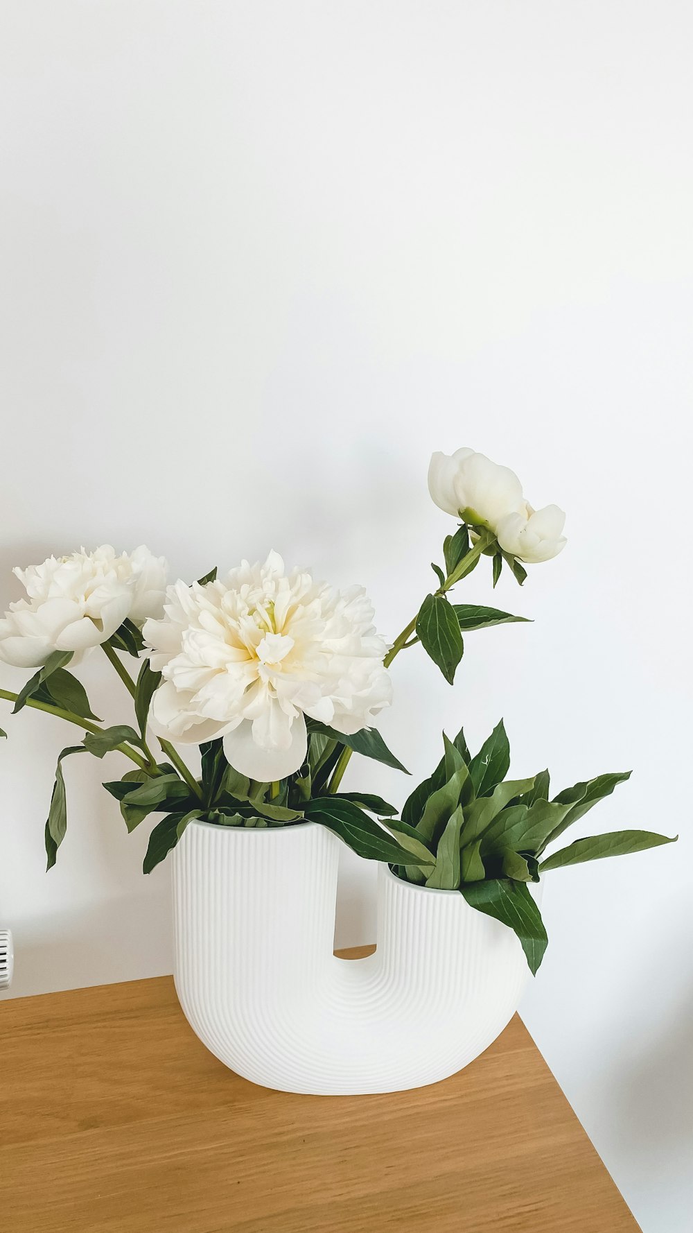 a white vase with white flowers