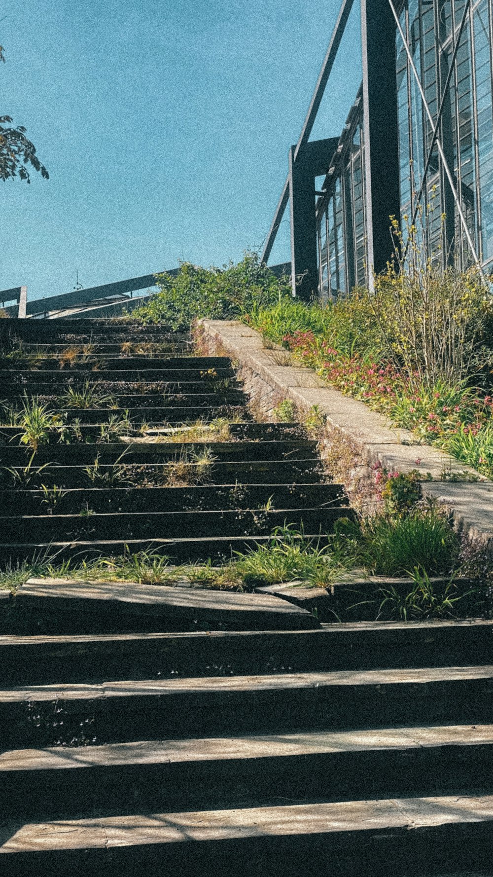 un conjunto de escaleras que conducen a un edificio