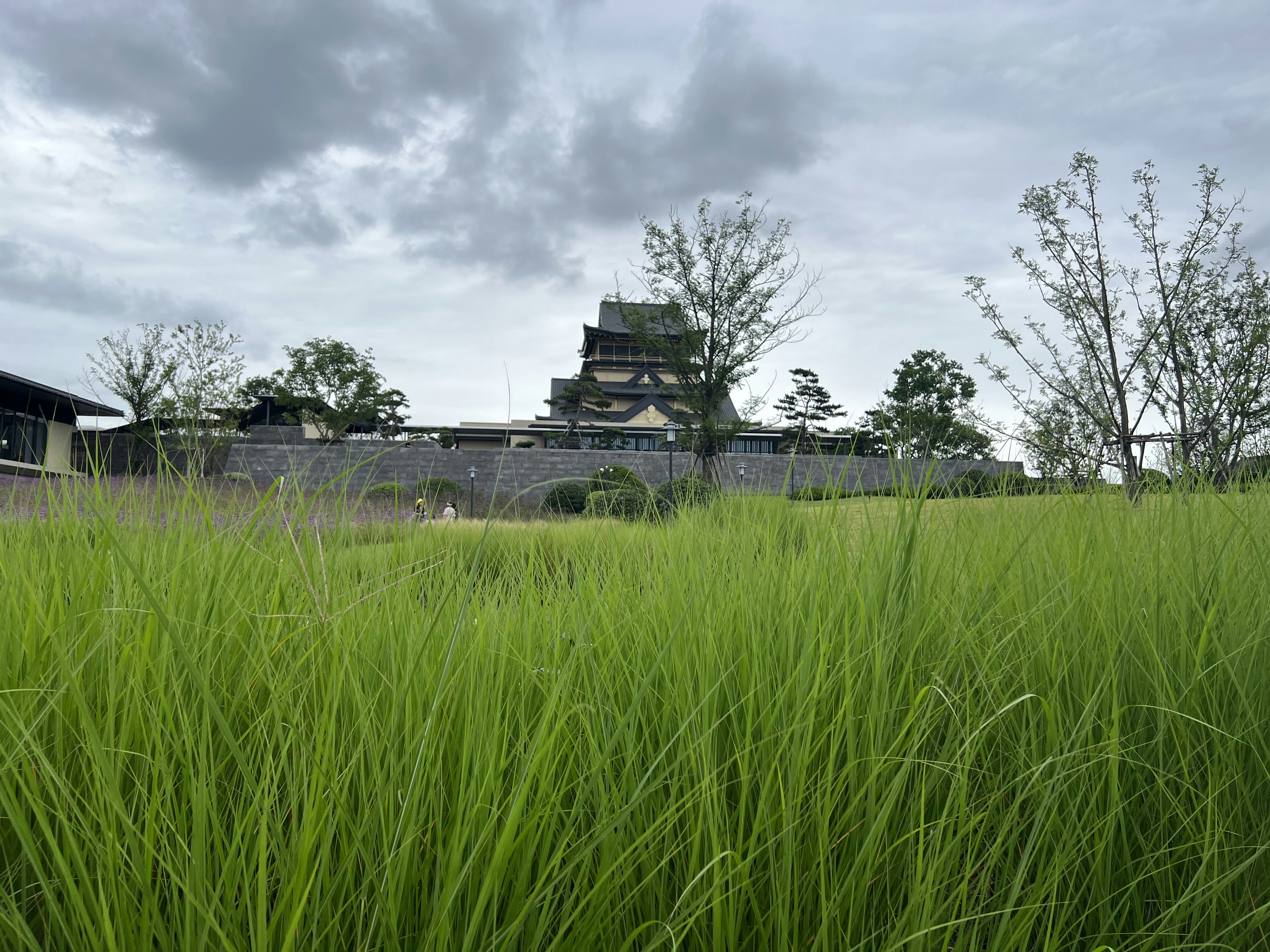 a grassy field with a building in the background
