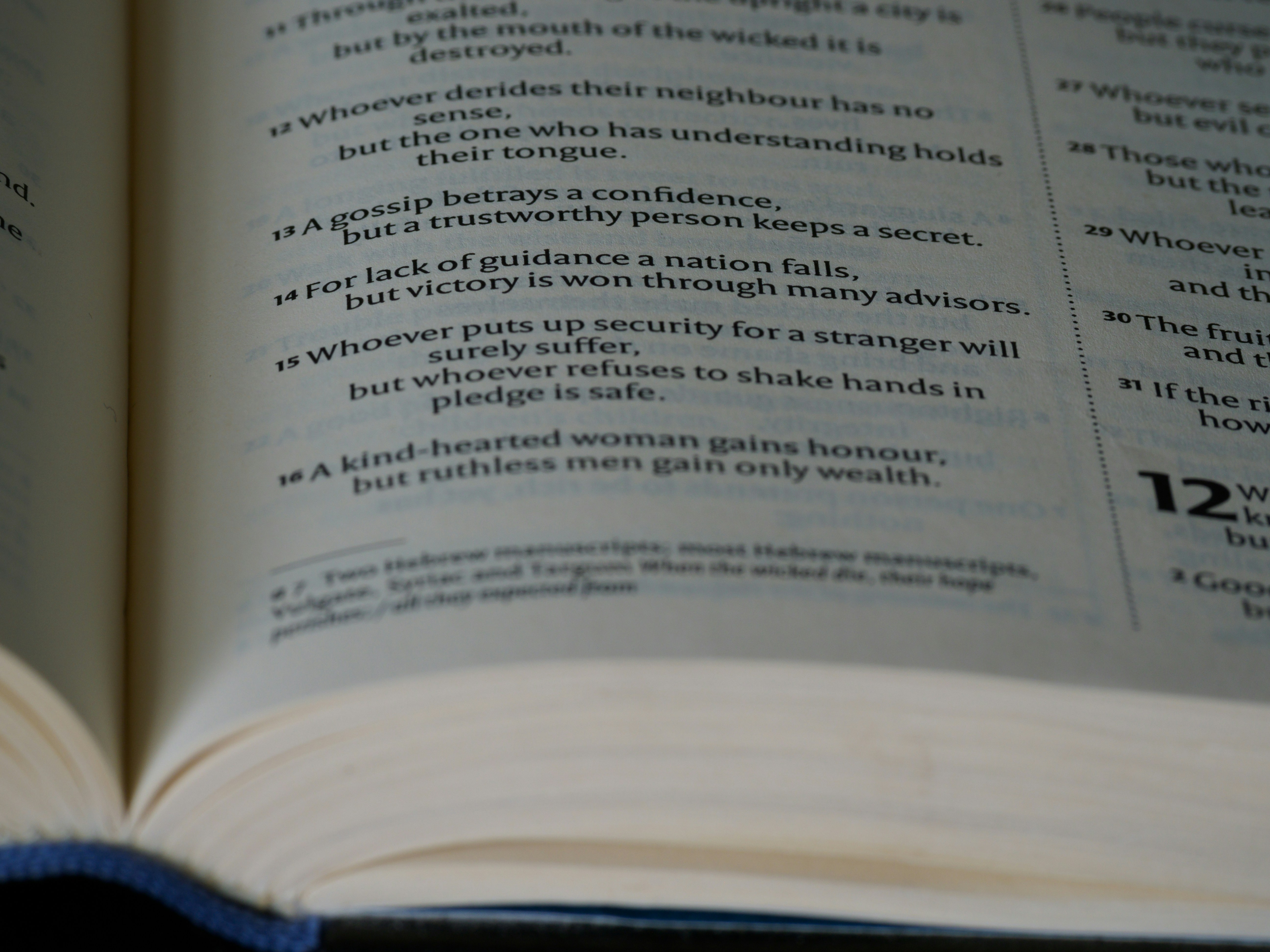 close up, bokeh, macro, blur, blurred background, close focus, bible, old testament, hebrew bible, christian, judaism, history, text, reading, bible study, devotions, text, NIV, New International Version, type, typography, canon, christianity, holy scripture, holy bible, scripture, old testament, hebrew bible, מִשְלֵי, book of proverbs, proverbs of solomon, wisdom literature, ketuvim, anthology, solomon, wisdom, sayings, mashai, folly, values, morality, proverbs, proverb, life skills, ancient wisdom, hebrew wisdom, 

