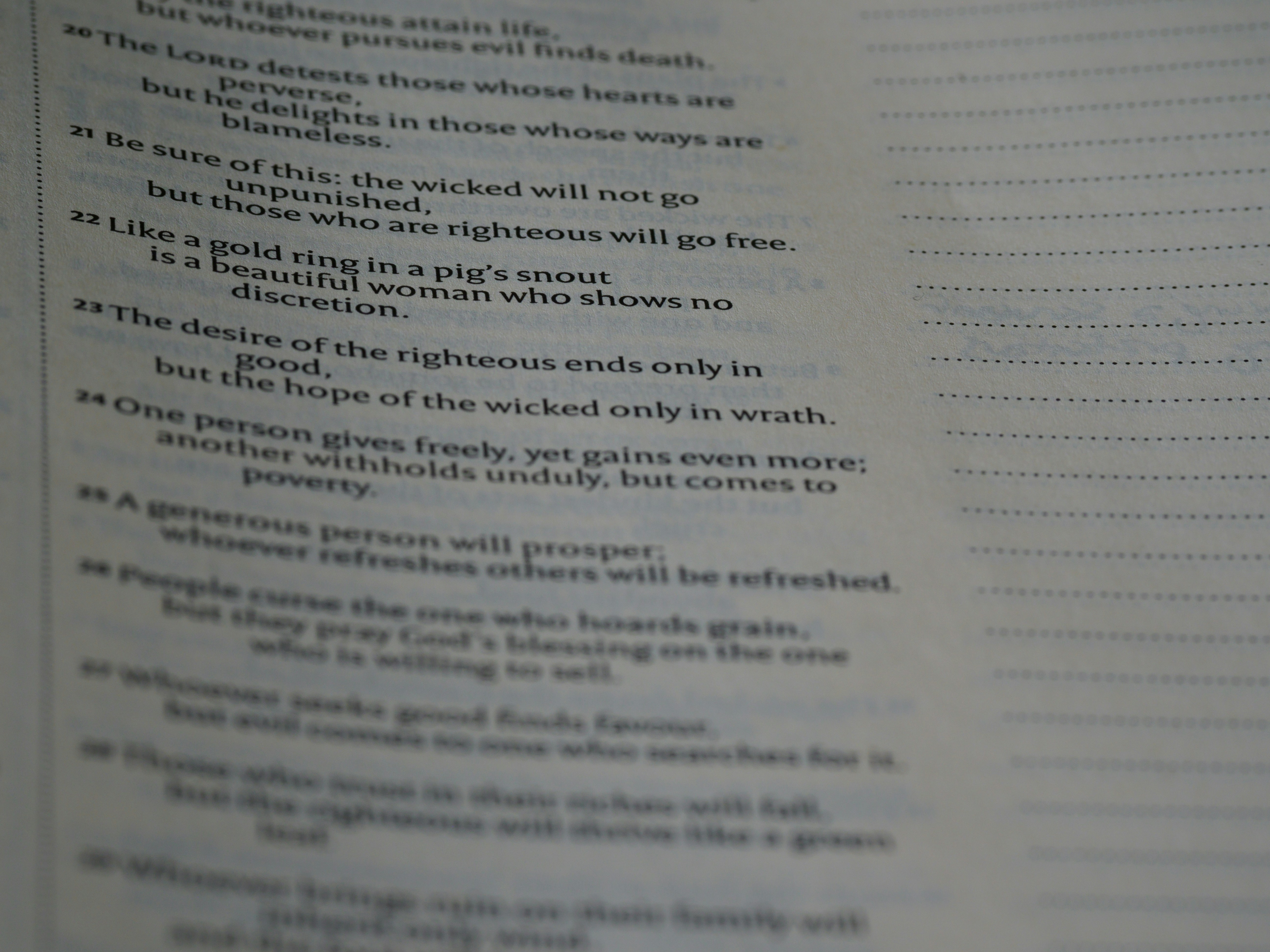 Photo by brett_jordan