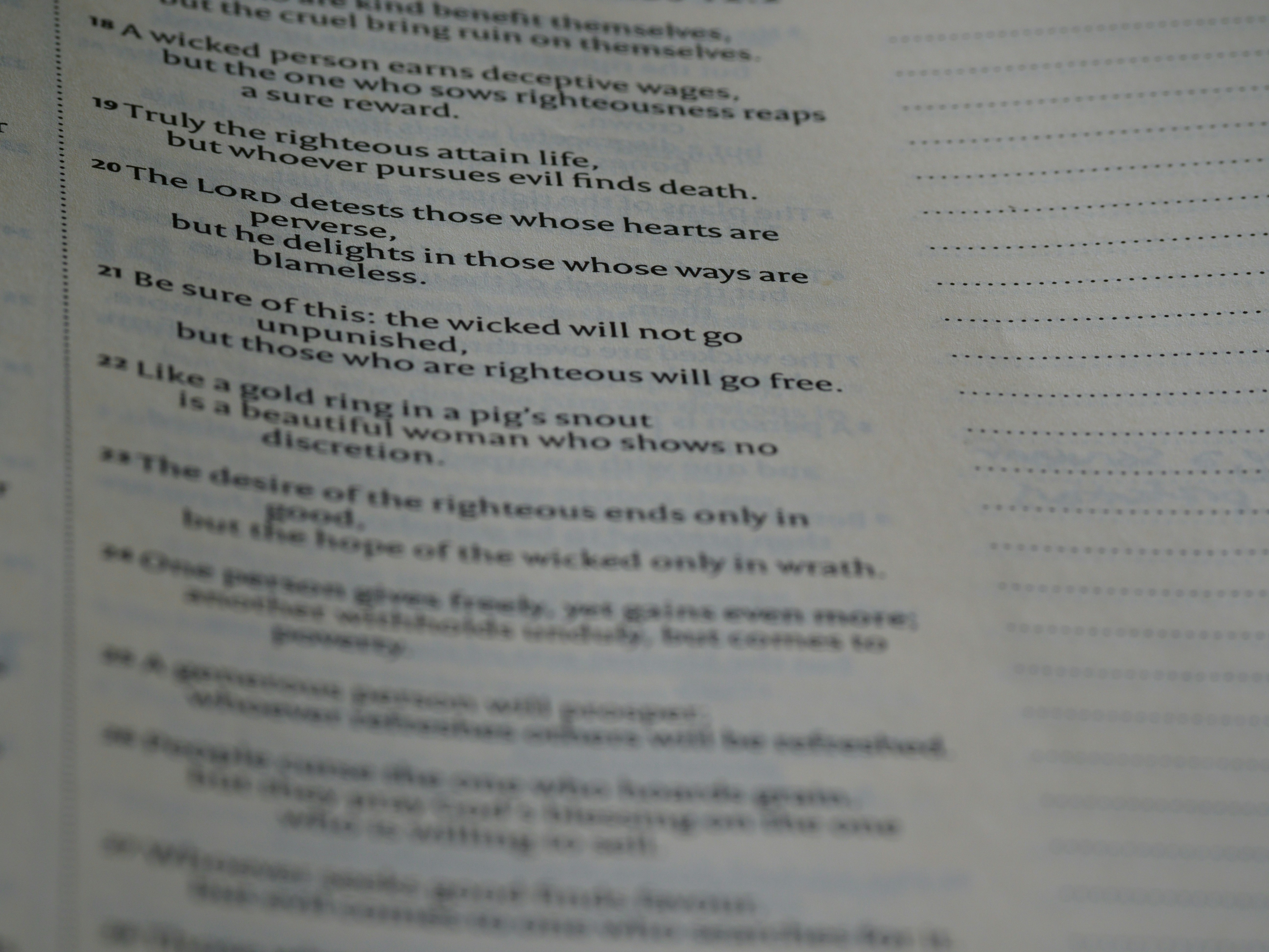 Photo by brett_jordan