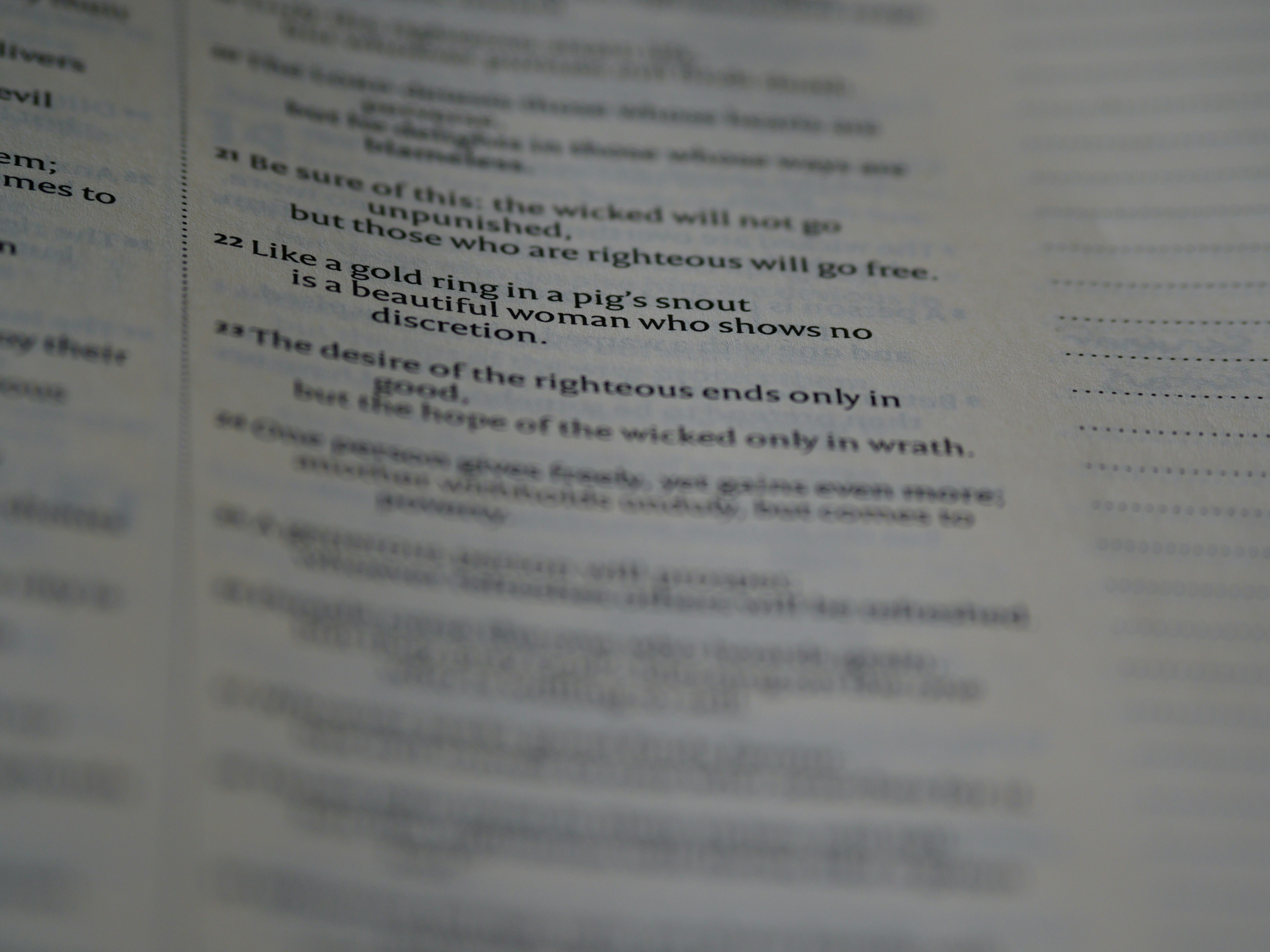 Photo by brett_jordan