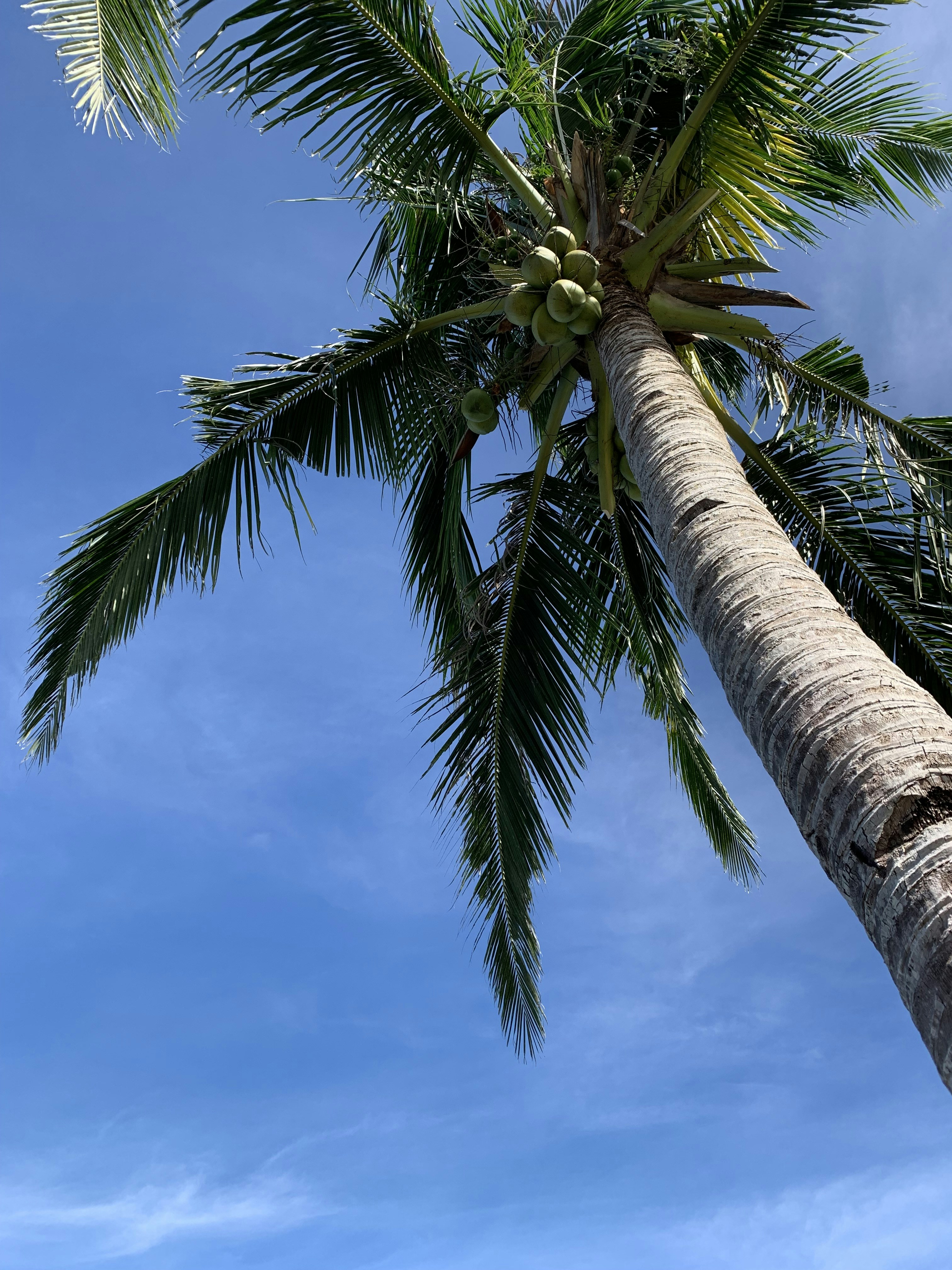 Photo by kchristanne