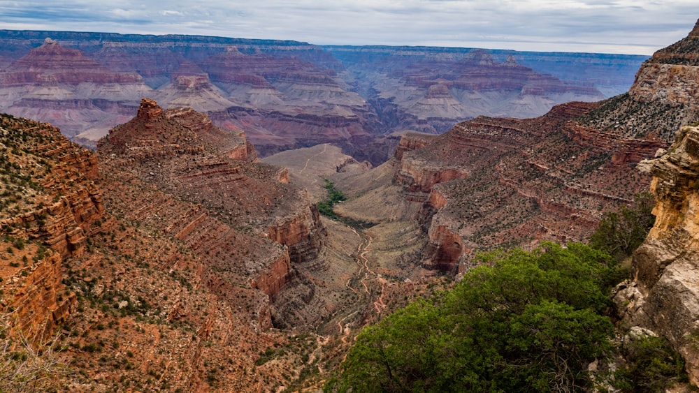 a canyon with trees and a river