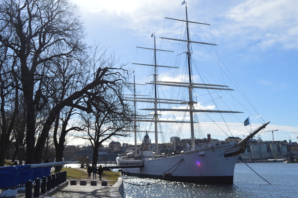 a large white ship docked