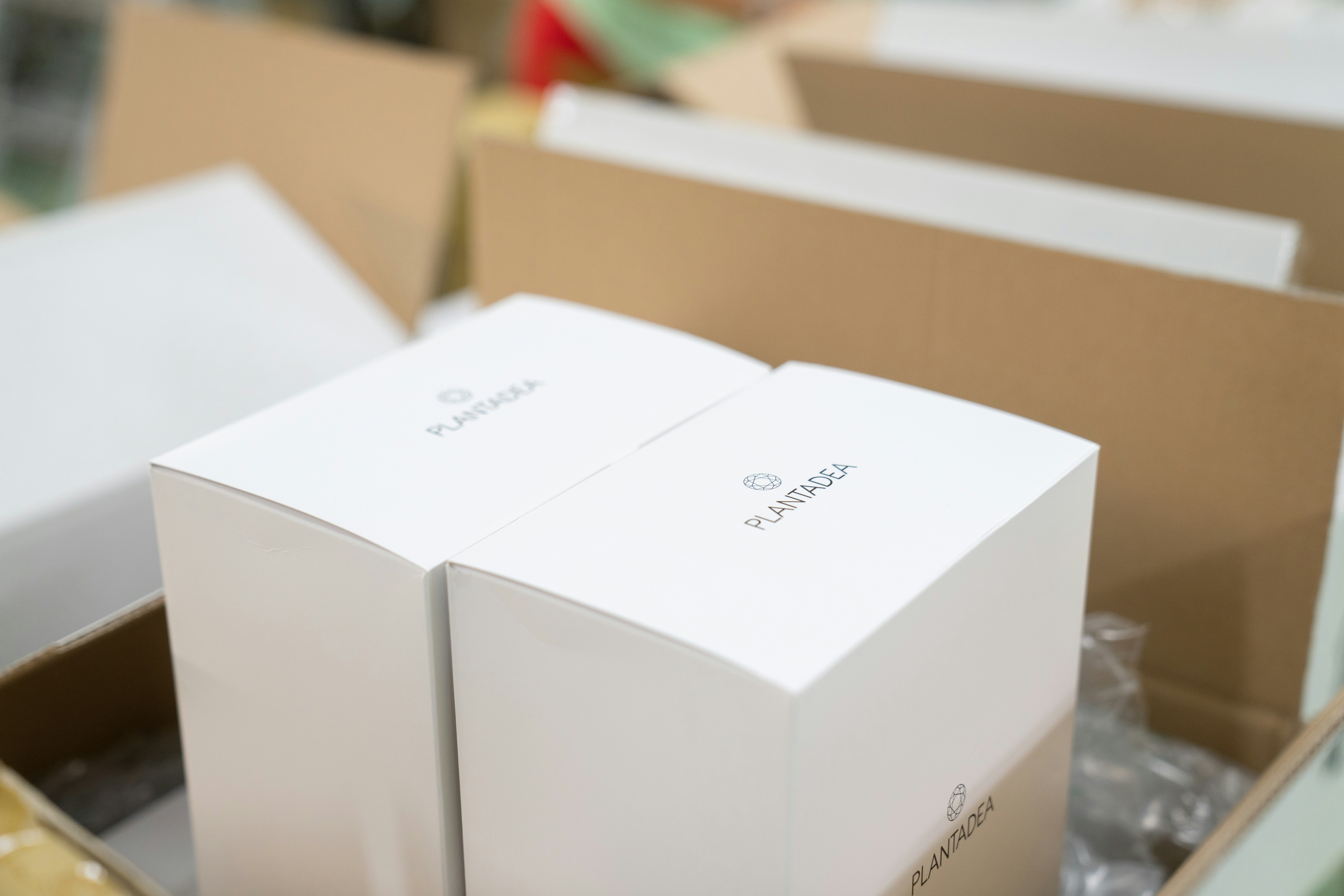 Photo by crystalweed