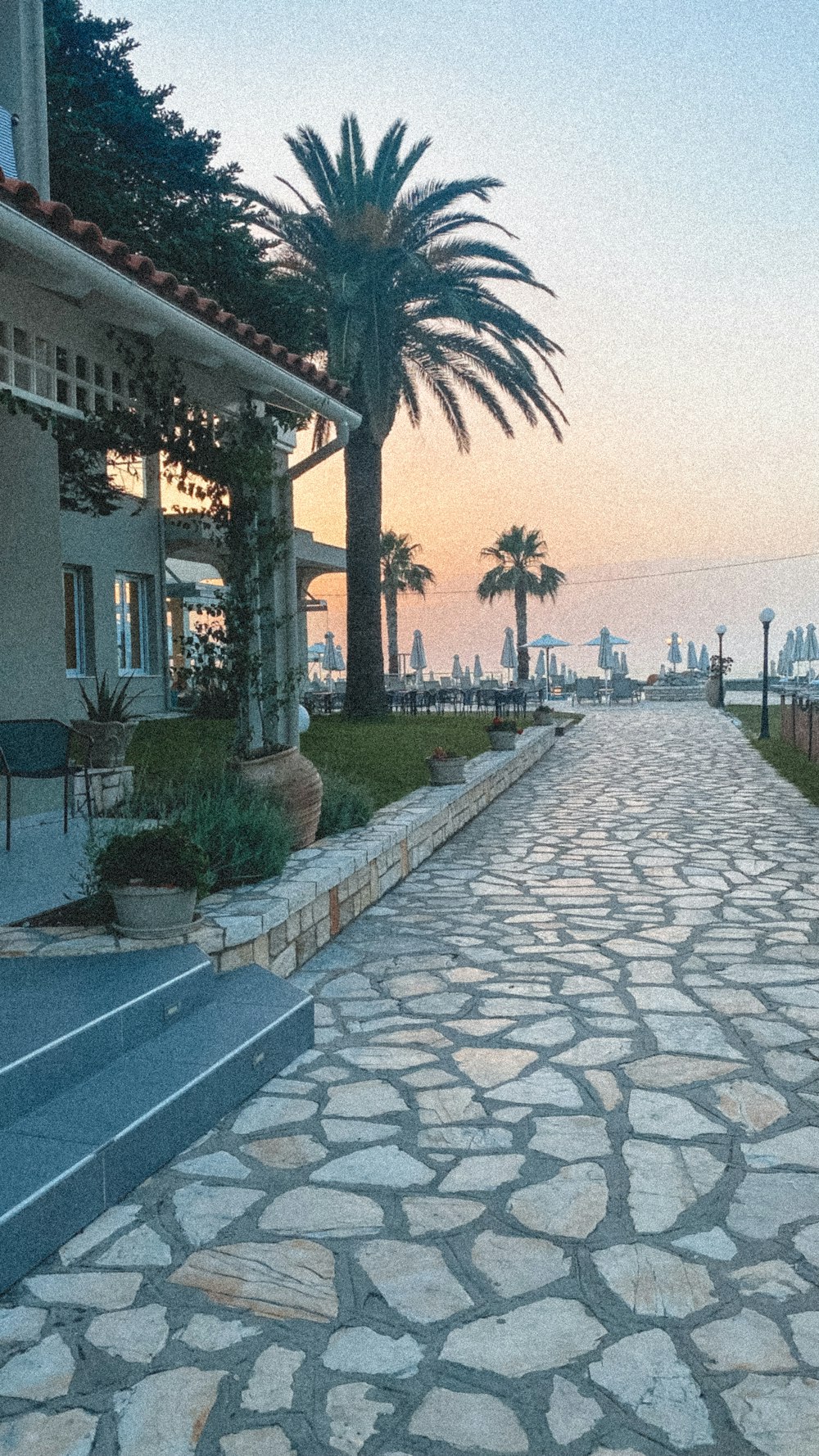 a stone walkway with palm trees and buildings in the background