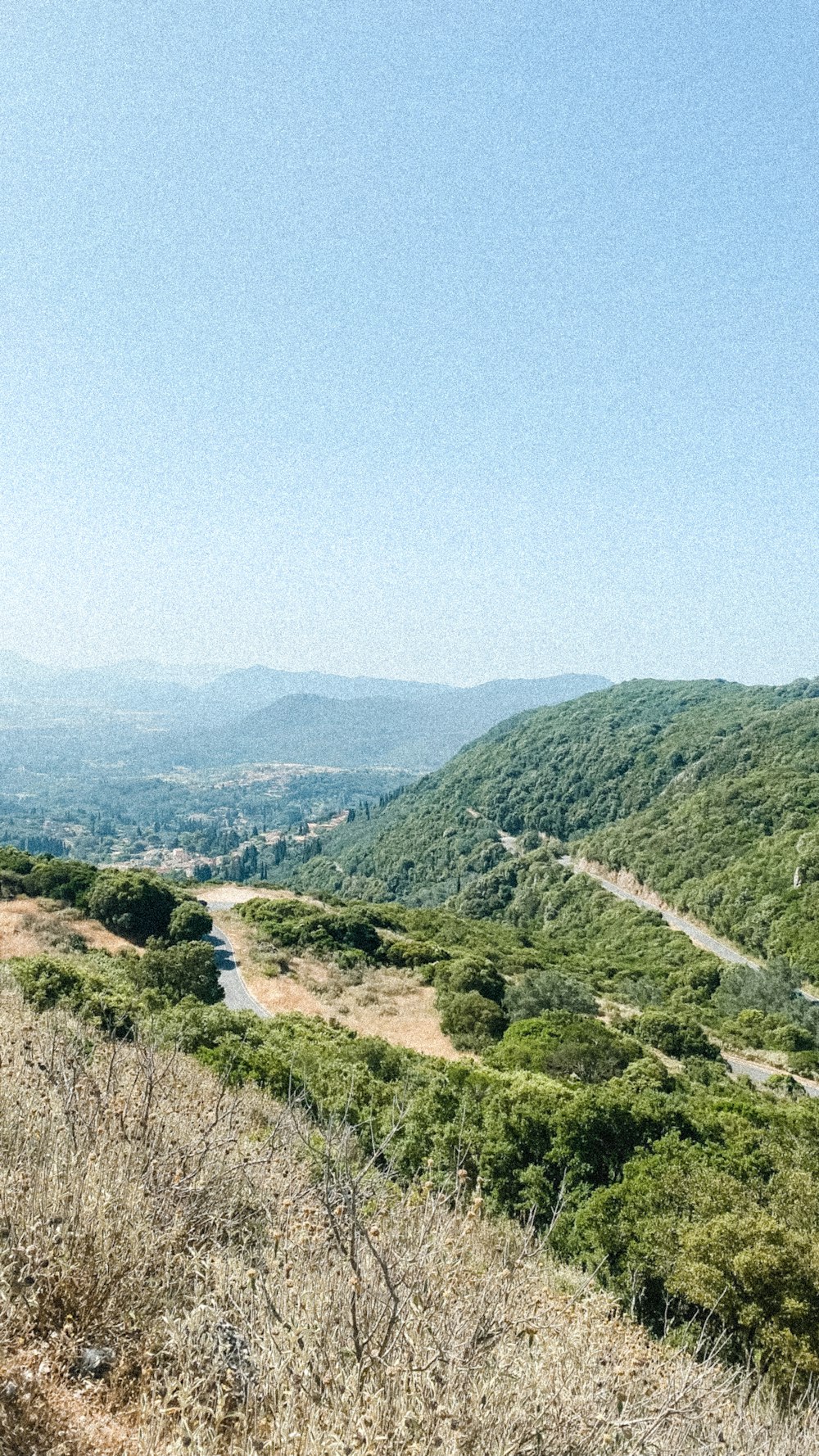 a landscape with trees and hills