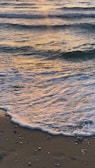Gentle waves washing over smooth beach pebbles at sunset with warm colors.