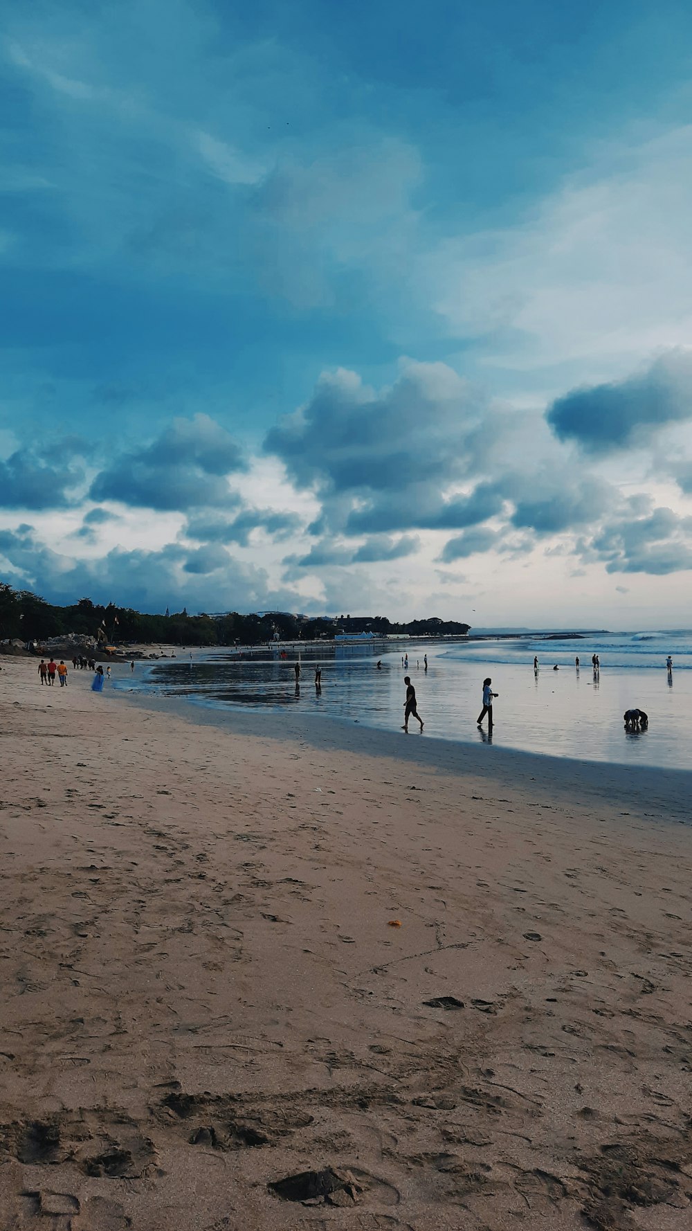 people on a beach