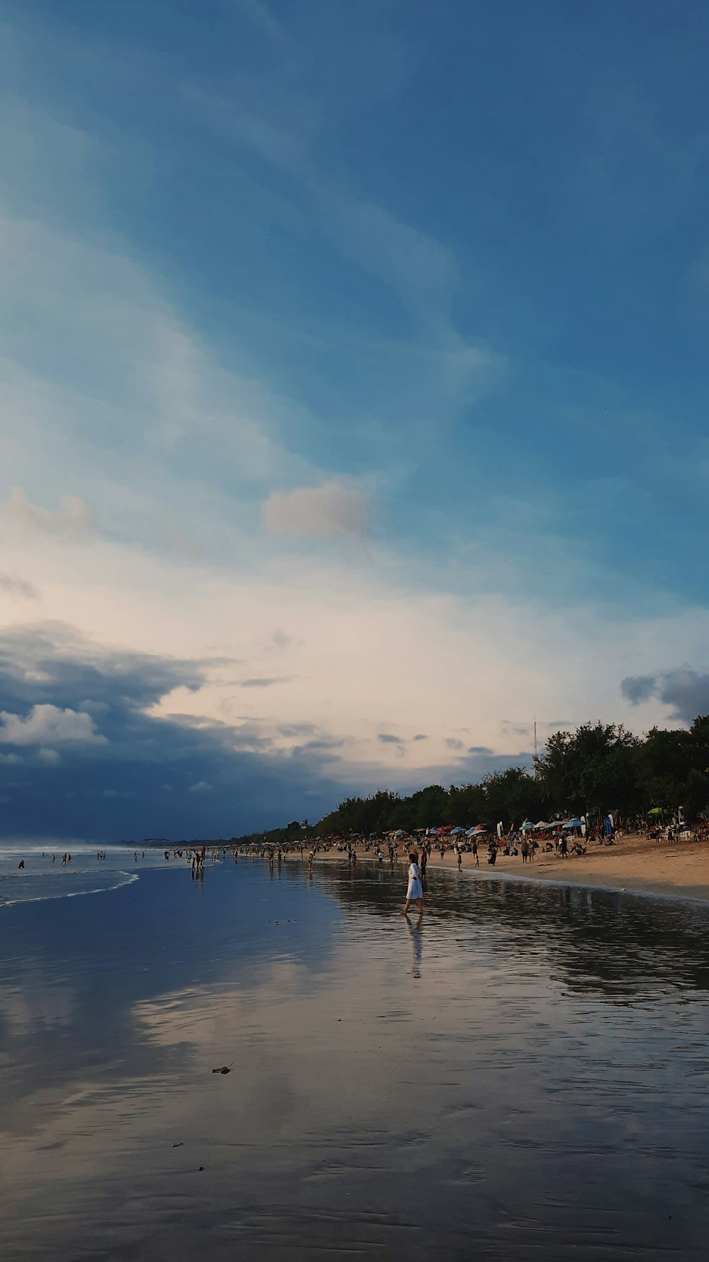 a beach with people and trees