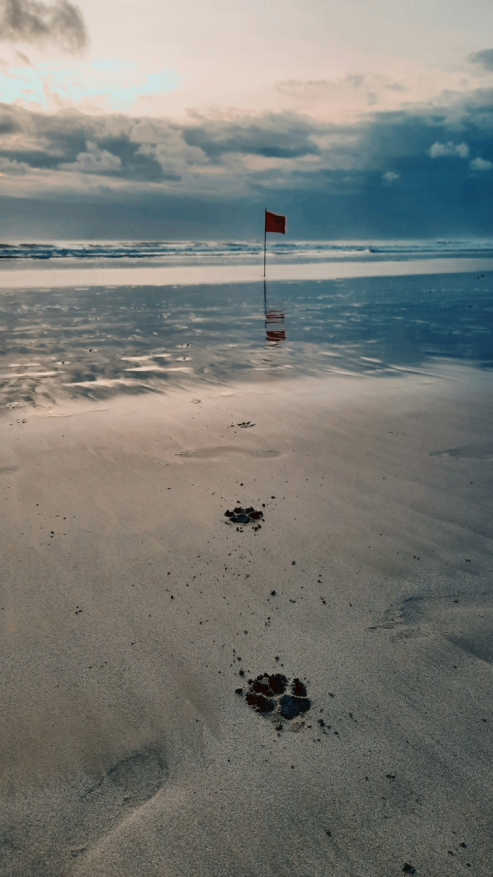 a flag on a beach