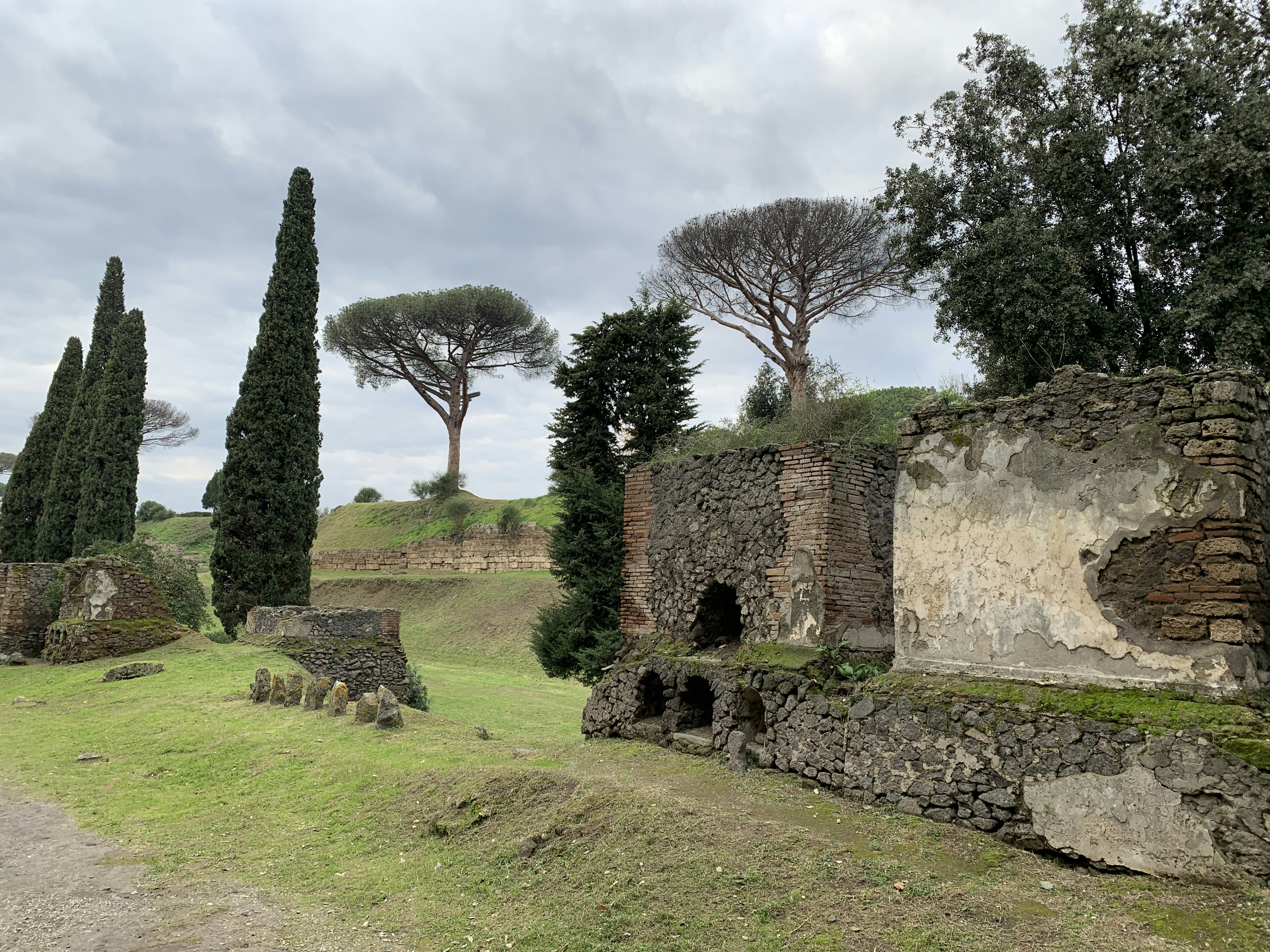 Modern Efforts to Revive Etruscan Culture (image credits: unsplash)