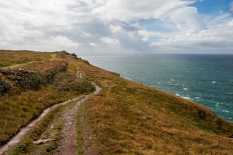 a path leading to a beach