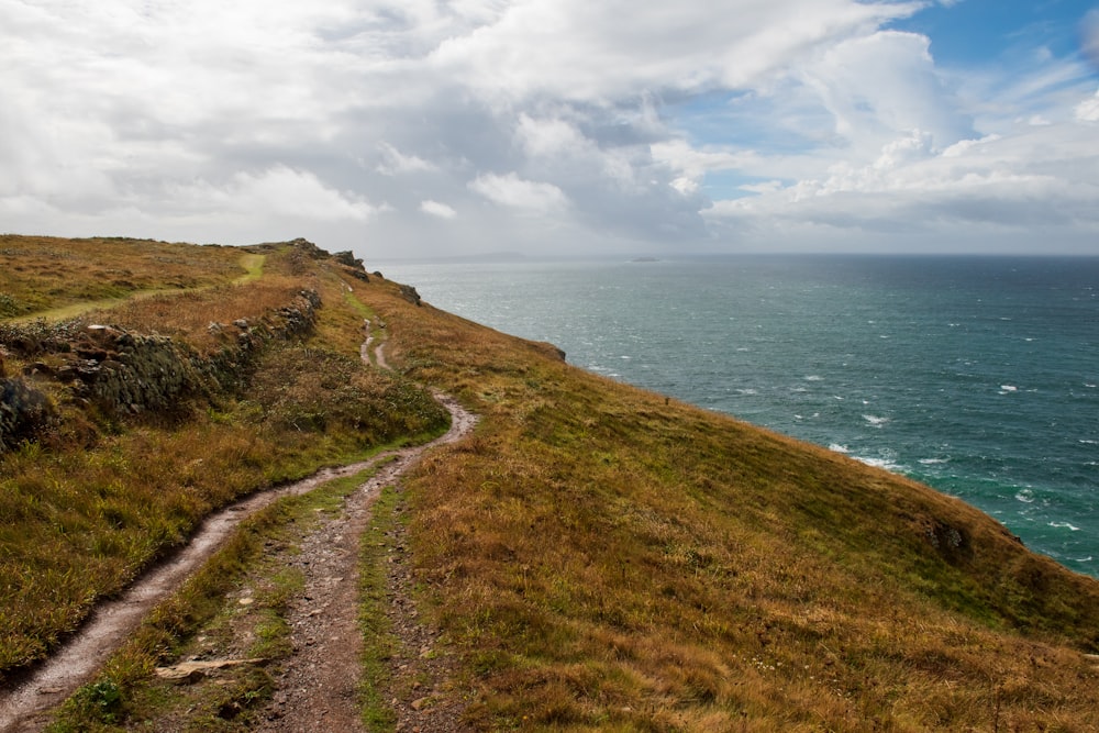 a path leading to a beach