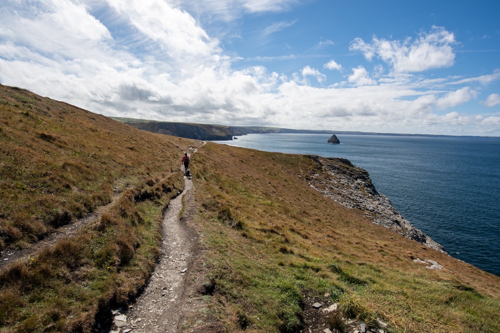 a person walking on a path by the water