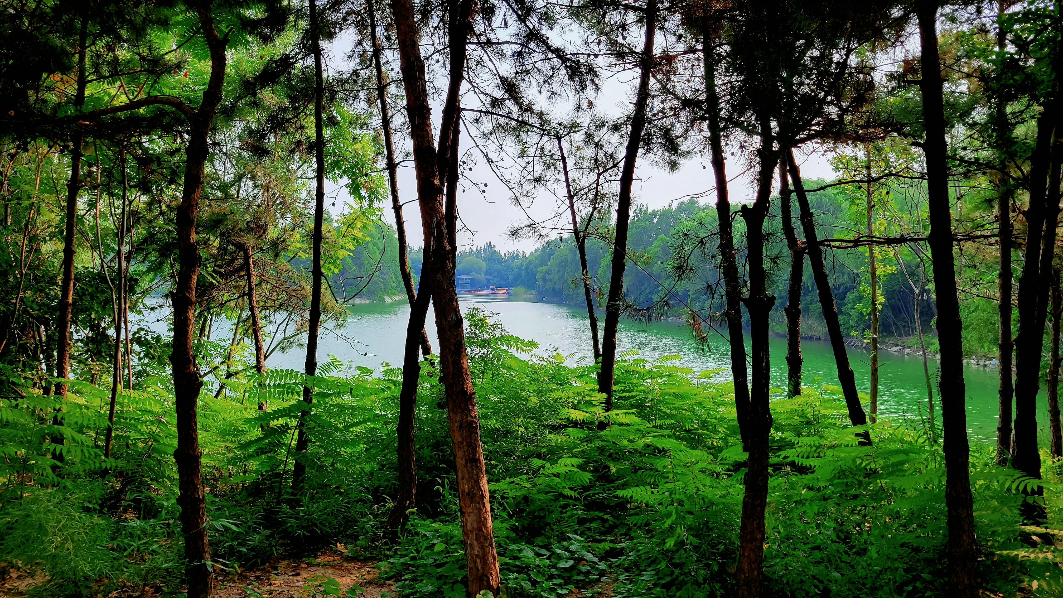 Thung Teao Forest Natural Park