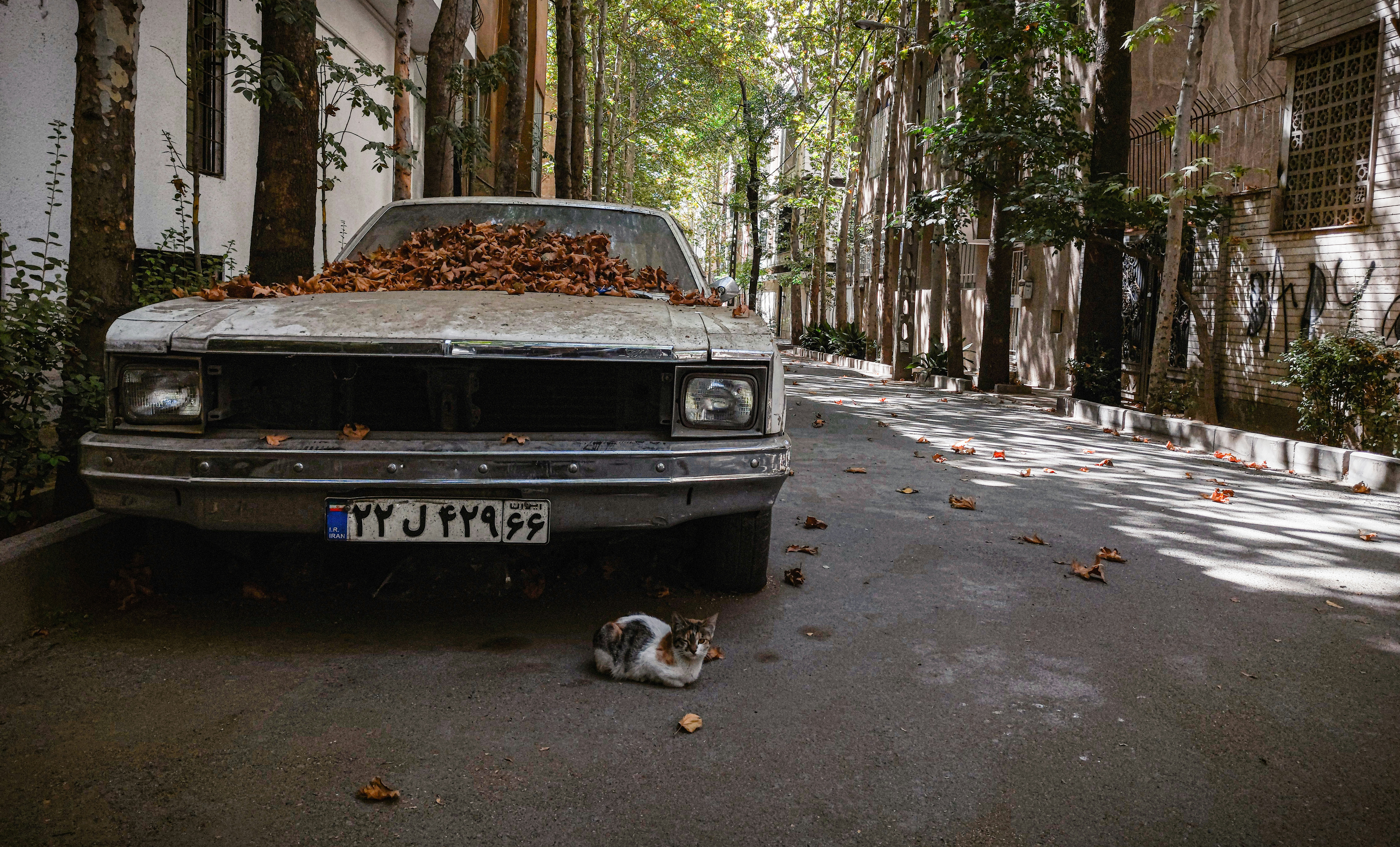 Photo by amirhasanemami