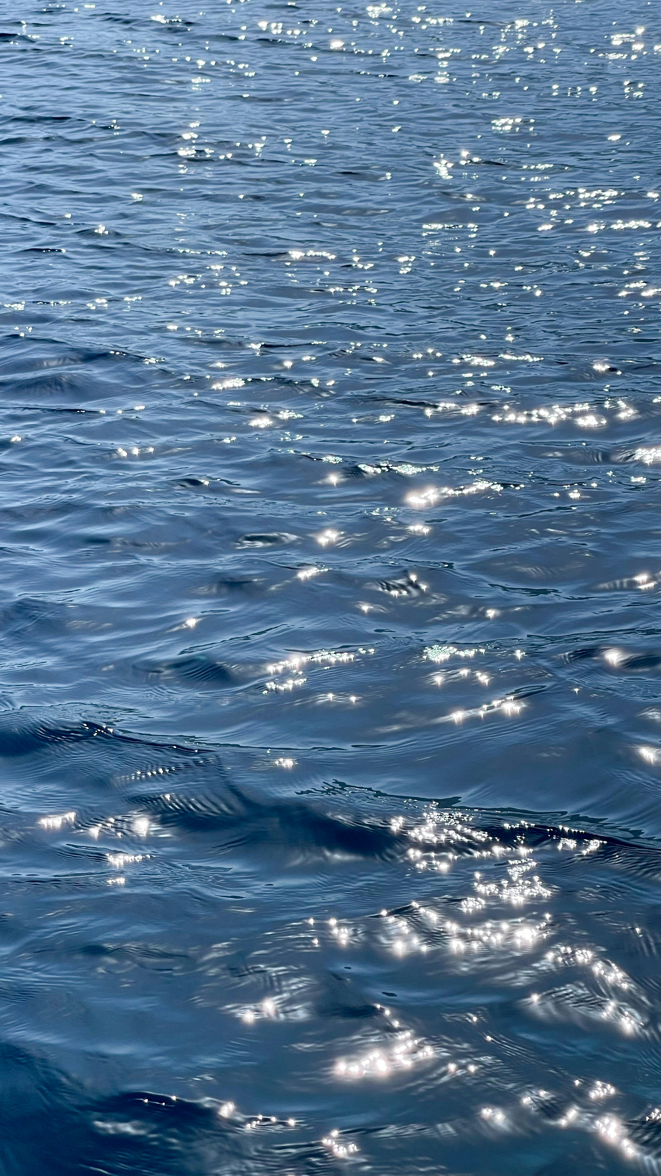 Photo by andreeamarialoga