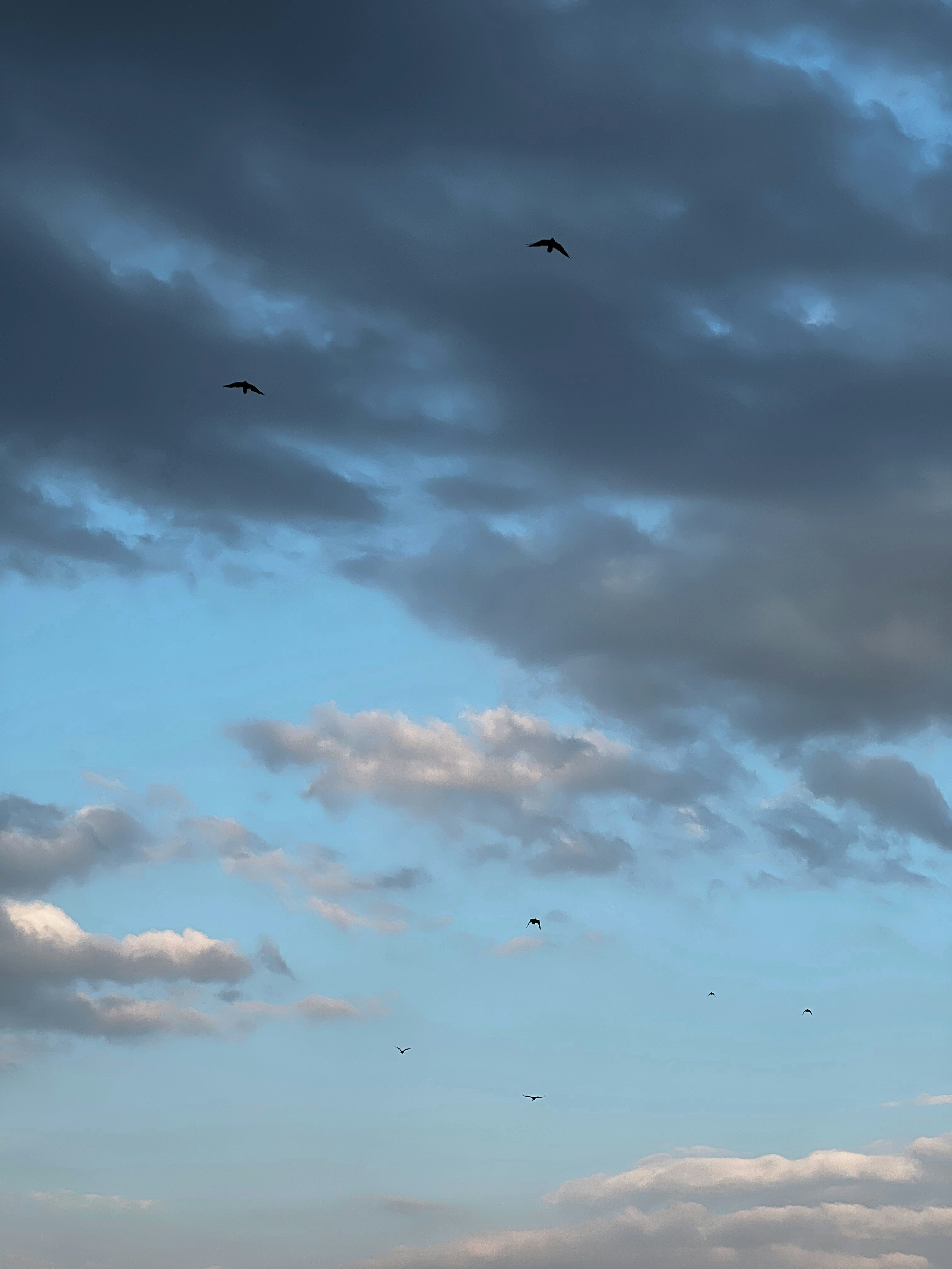 Photo by oliviamihutescu