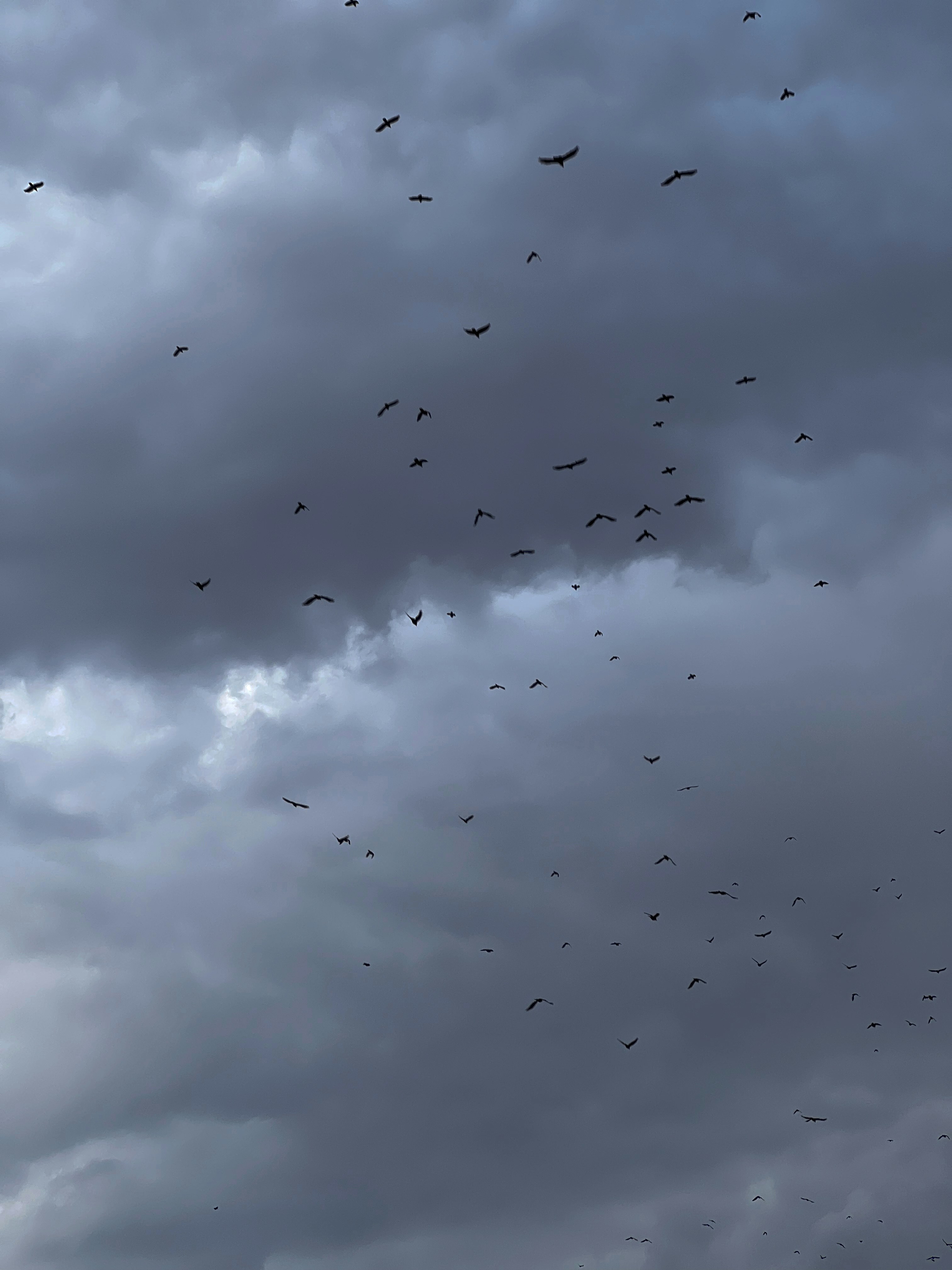 Photo by oliviamihutescu