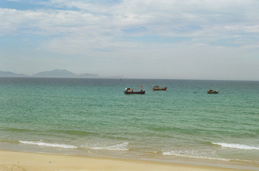 boats in the water