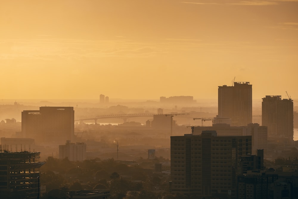 a city with buildings and fog