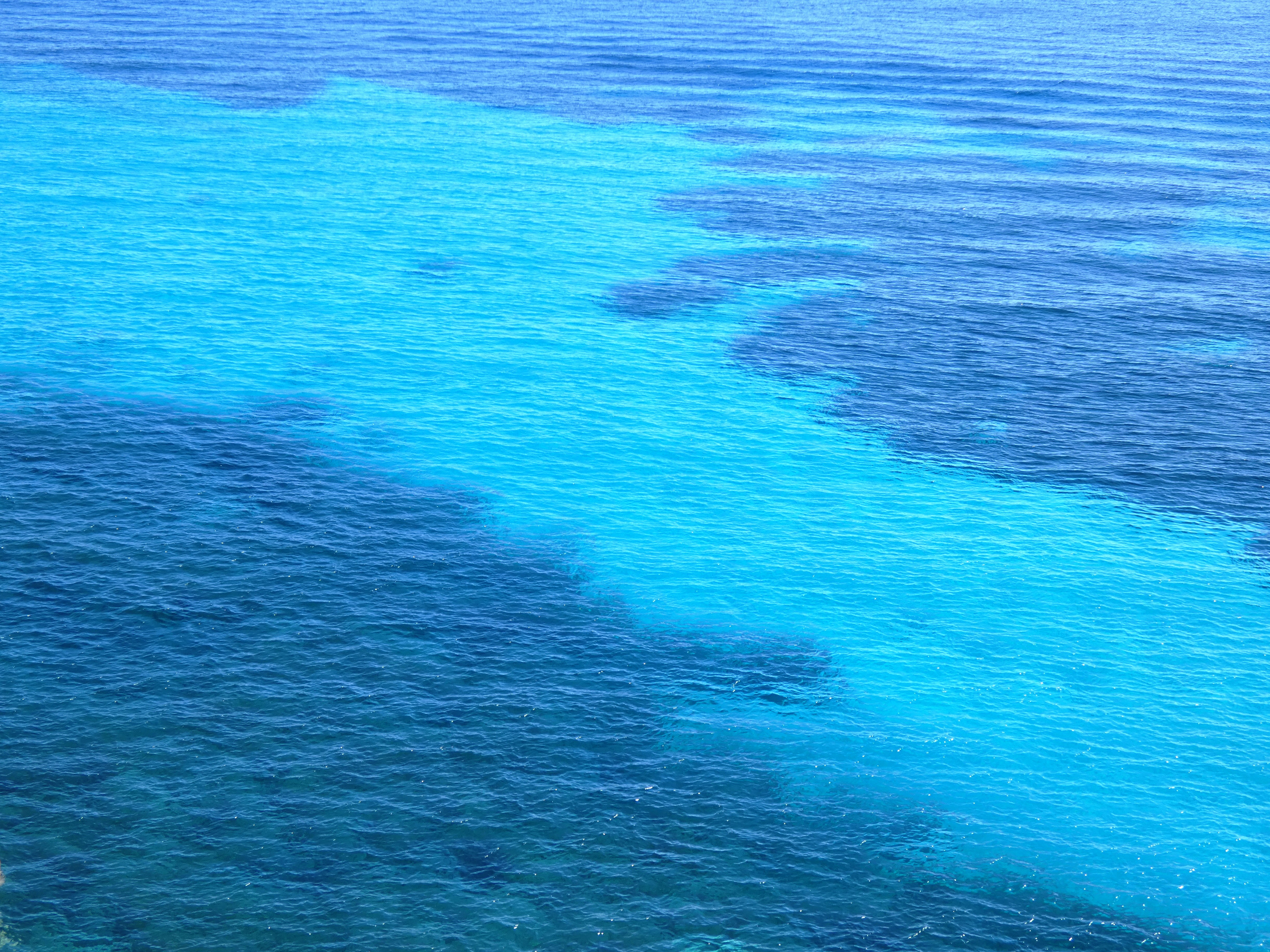 קריאה פסיכולוגית סקרנית | רחל בר־יוסף־דדון