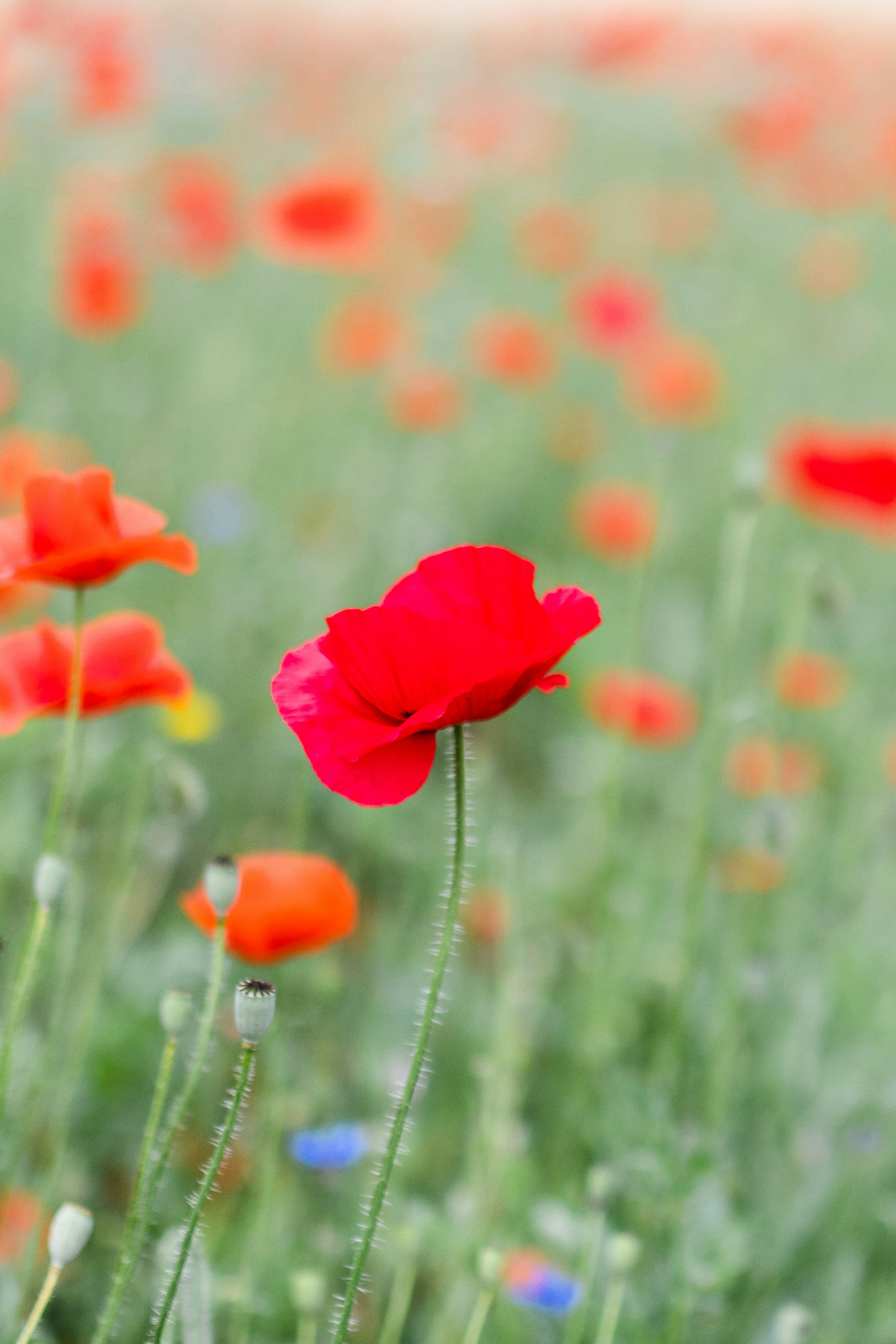 Photo by filipp_roman_photography