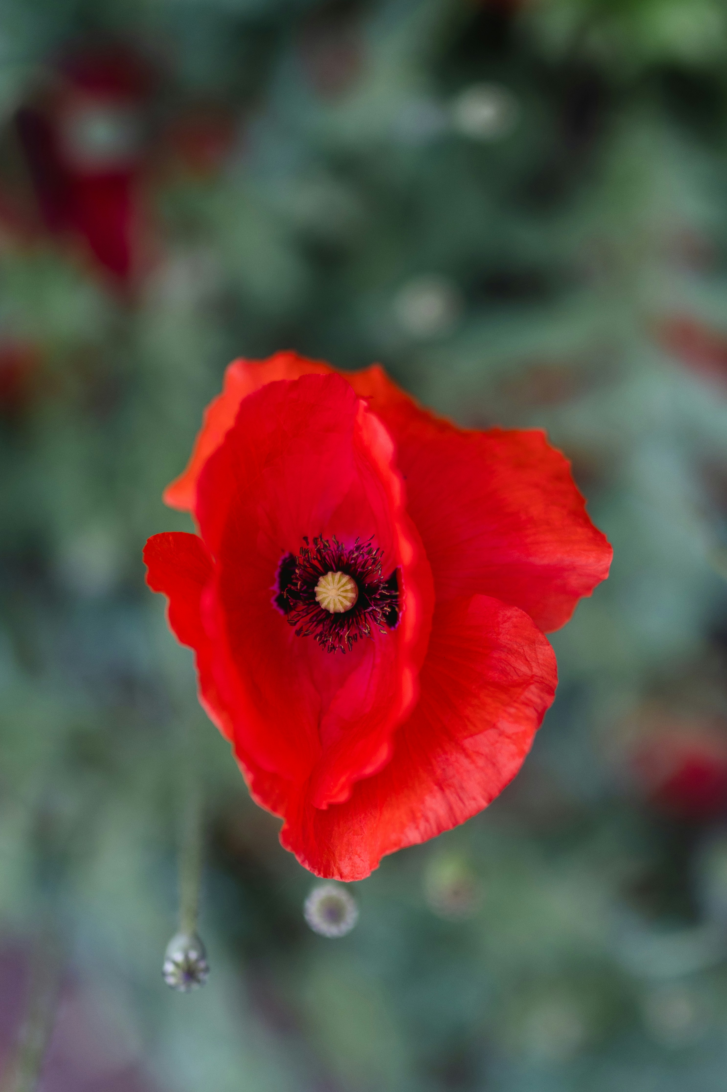 Photo by filipp_roman_photography