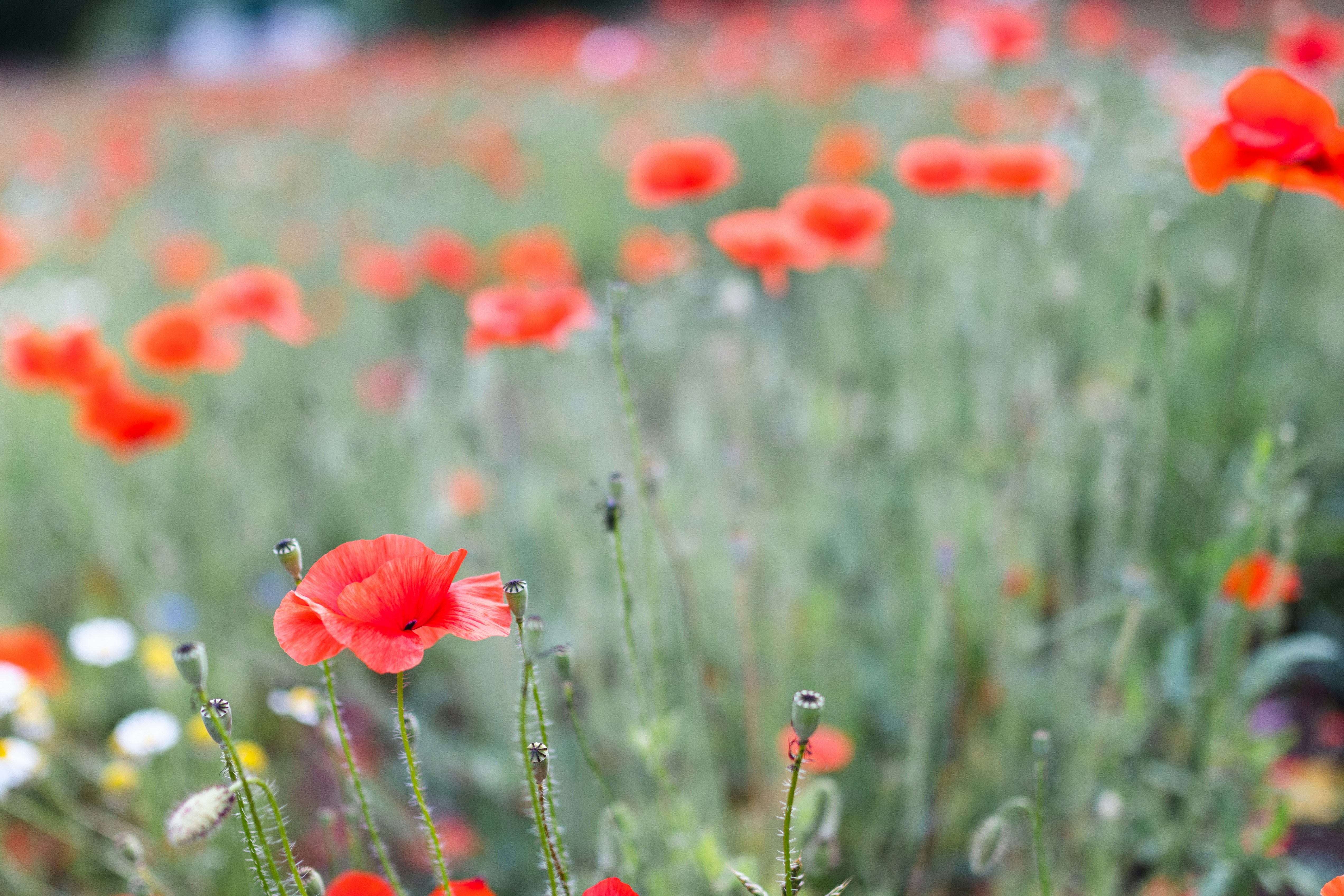 Photo by filipp_roman_photography