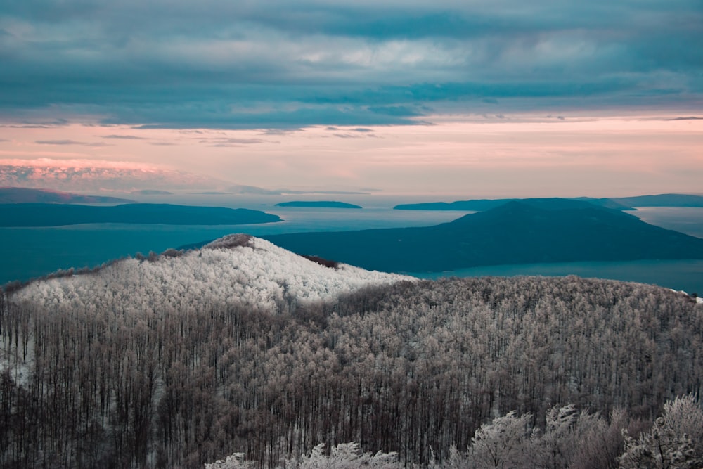 a snowy mountain with trees