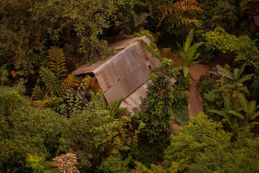 a house surrounded by trees