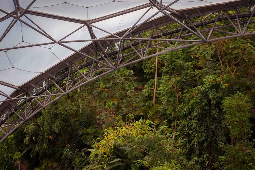 a greenhouse with trees